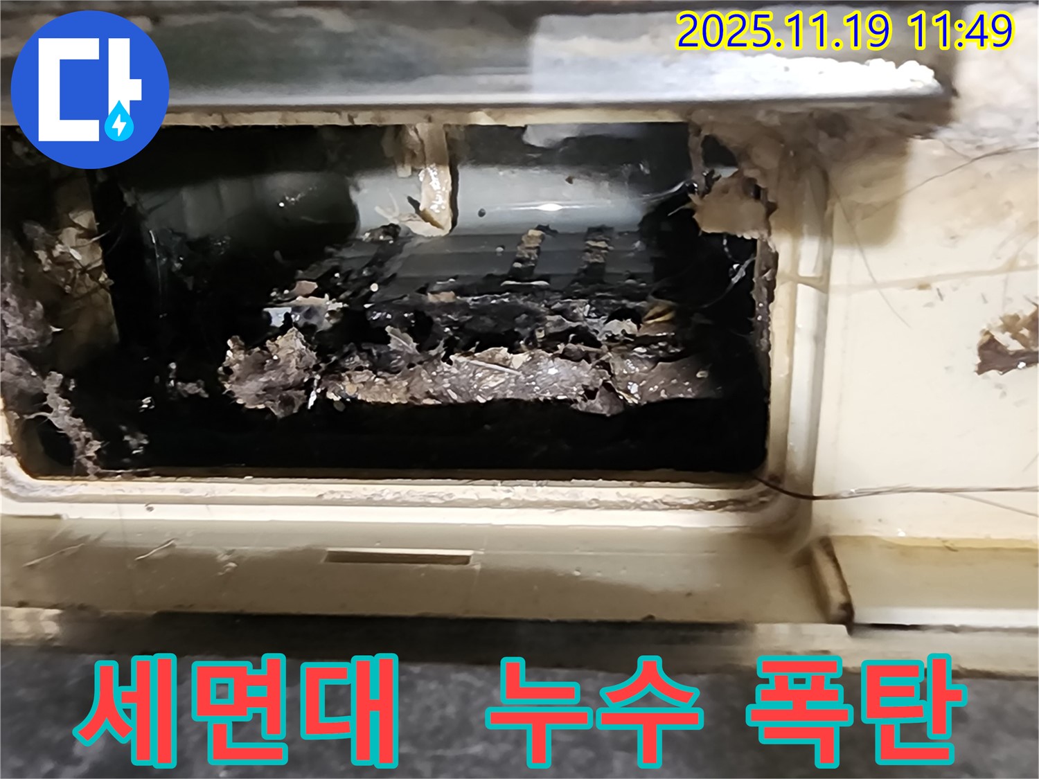 포천 내촌에서 세면대 배수구 내부에 숨겨진 누수 원인을 찾아 제거하는 전문가의 모습