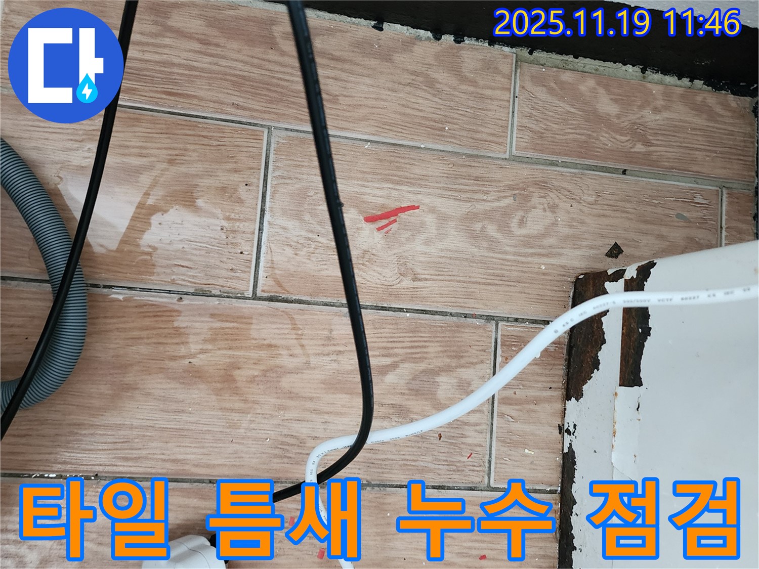 포천시 마명리 누수 점검 중 - 타일 틈새를 꼼꼼하게 확인하여 누수 지점을 찾고 있습니다.