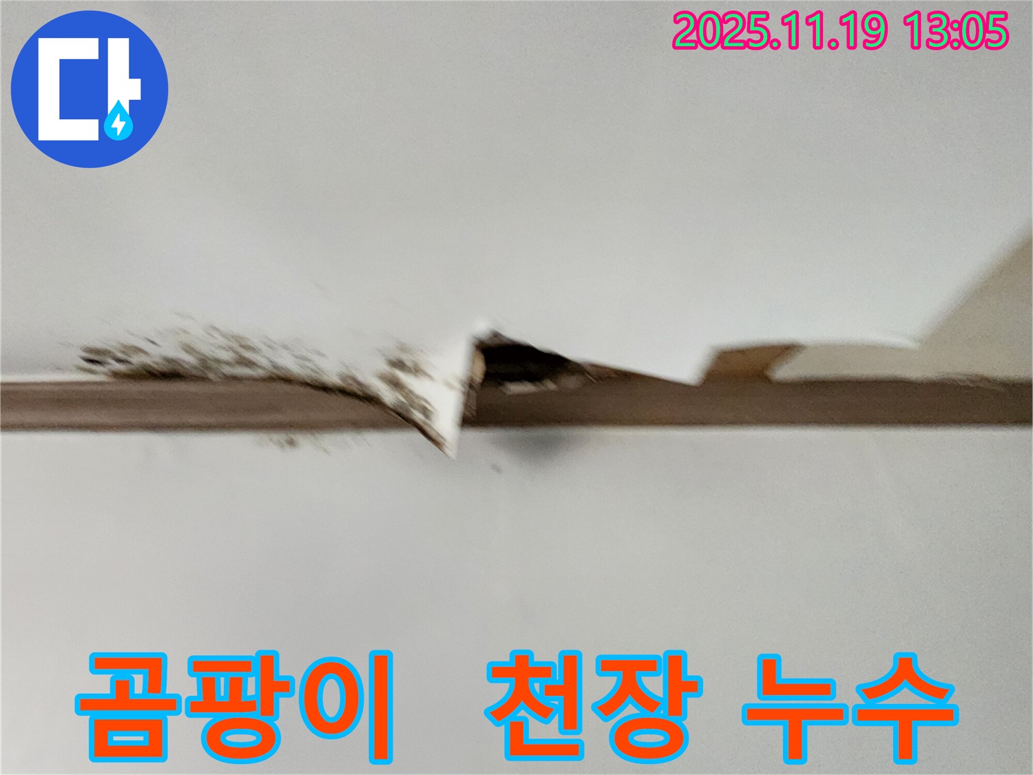 곰팡이 핀 천장 - 누수와 곰팡이의 연관성을 보여주는 사진입니다.