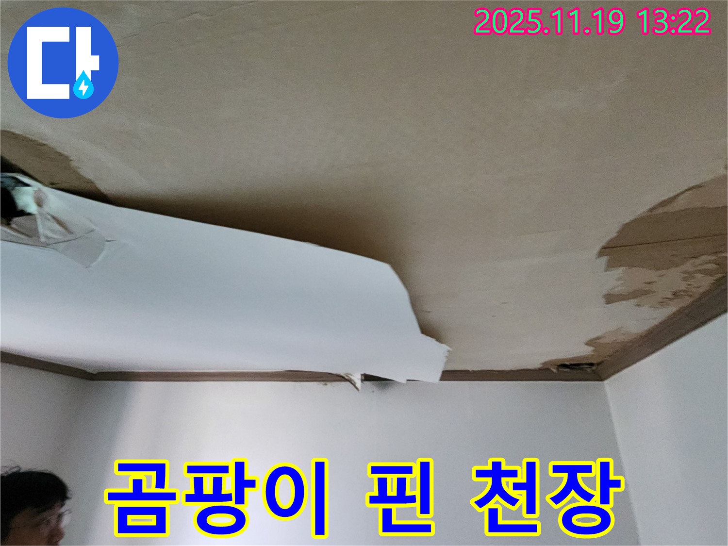 곰팡이가 핀 천장 누수 현장 - 누수 원인을 제거하고 곰팡이까지 해결하는 과정을 담은 이미지입니다.