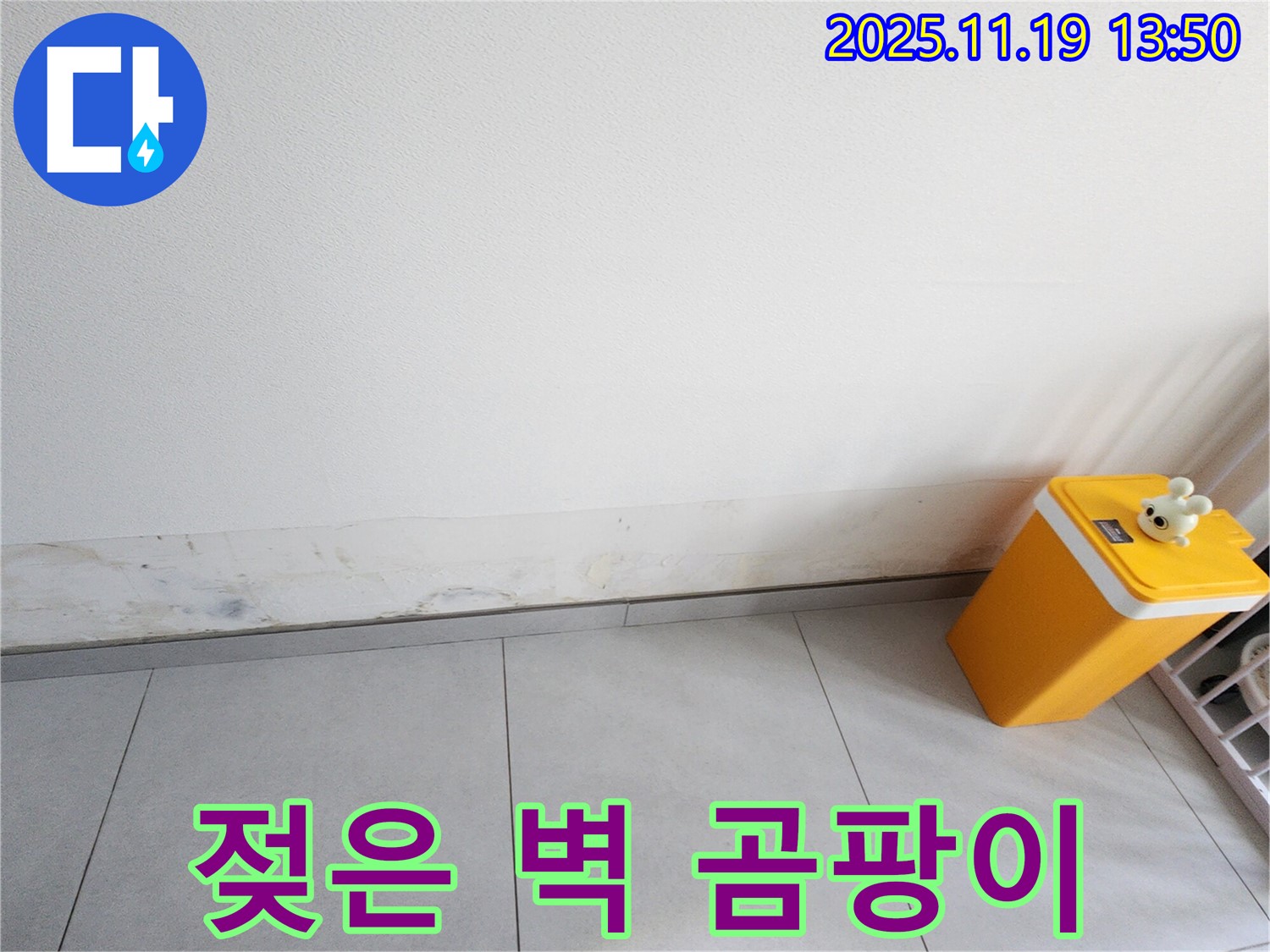 내촌리 누수 - 젖은 벽은 곰팡이가 득실거릴 수 있습니다 - 쾌적한 집을 되찾으세요 - 완벽하게 해결해 드립니다.