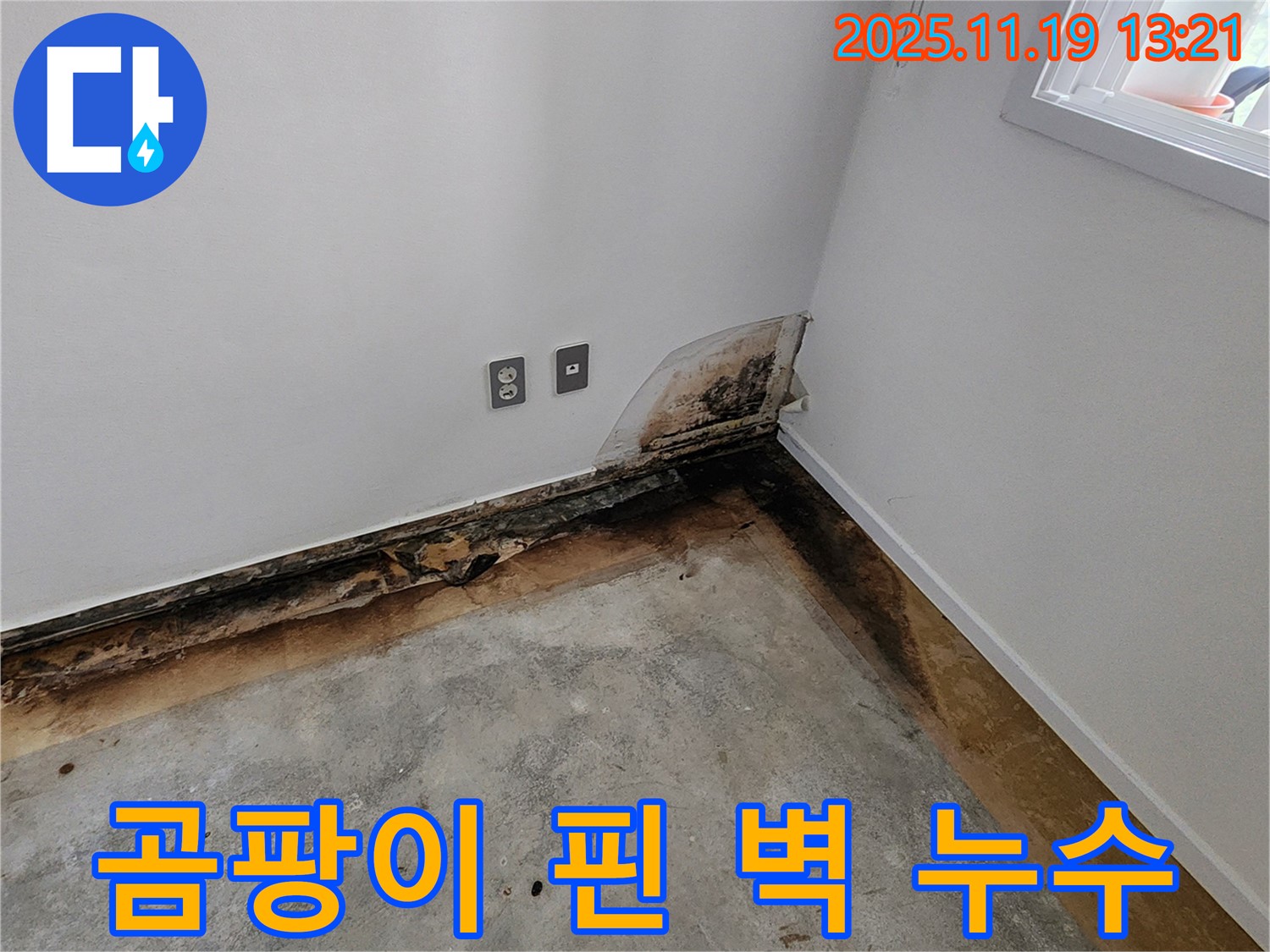 내촌면 주택 누수 - 곰팡이 핀 벽, 누수탐지 전문가