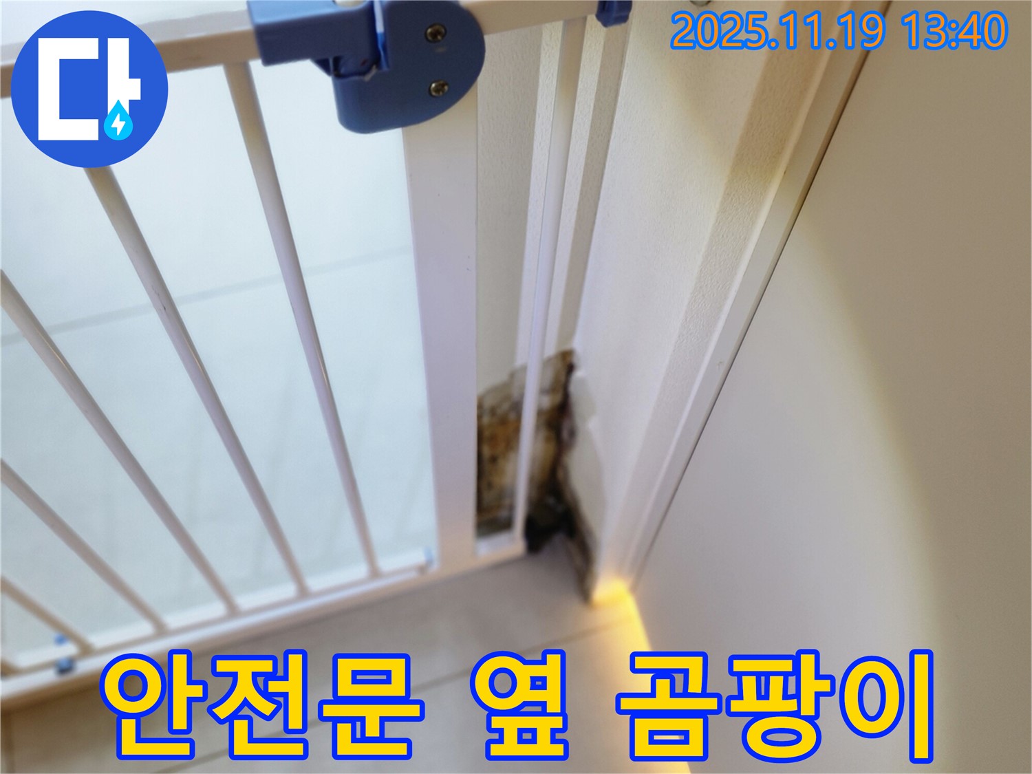 안전 문 옆 벽면의 곰팡이 - 누수로 인해 습기가 발생하여 곰팡이가 생긴 모습입니다.