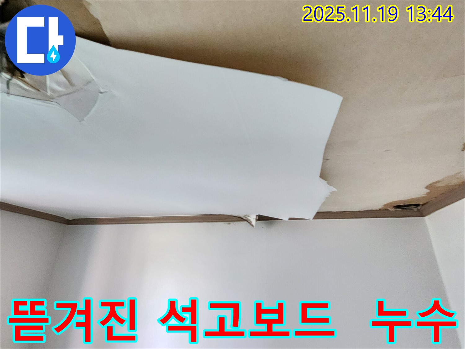 천장 석고보드가 뜯겨진 모습 - 누수의 심각성을 보여줍니다.