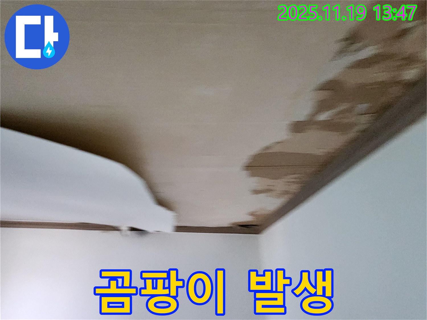 포천 내촌 천장 - 젖은 마감재와 함께 곰팡이 발생 가능성