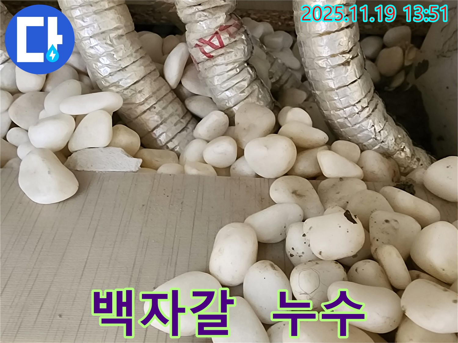 포천 내촌면 누수 - 백자갈 아래 숨겨진 배관 누수를 정확하게 탐지하고 안전하게 보수 완료!