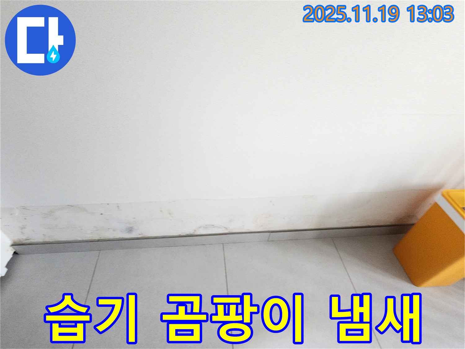 포천 누수 전문가 - 벽 하단 습기, 곰팡이, 곰팡이 냄새 문제 완벽 차단