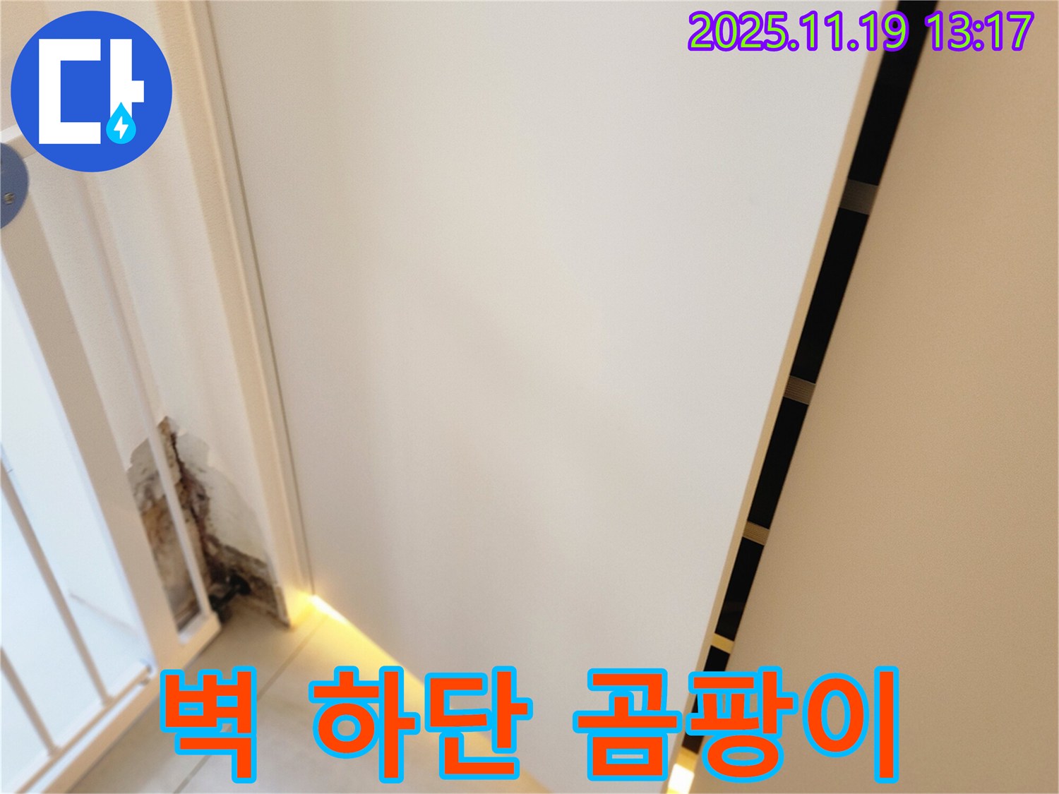 포천시 내촌면 누수 현장 - 문 옆 벽 하단 곰팡이와 악취의 원인인 누수를 해결하고 곰팡이를 제거하며 탈취 및 공기 정화 시공을 하는 과정