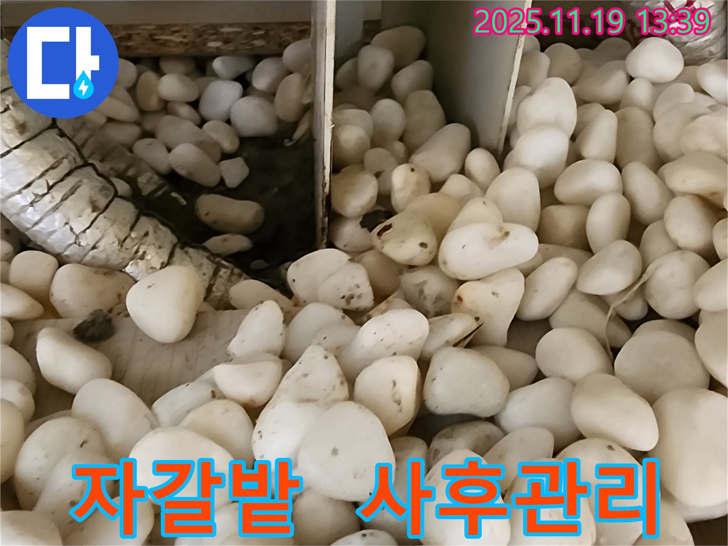 포천시 내촌면 음현리 누수 - 자갈밭 아래 숨은 누수, 완벽 해결 후 철저한 사후 관리!