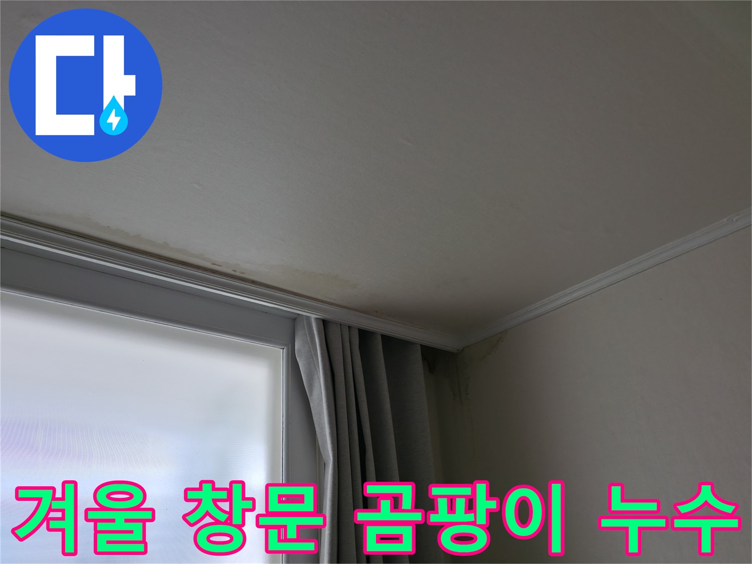 겨울철 창문 곰팡이 - 누수 문제 해결 전문가