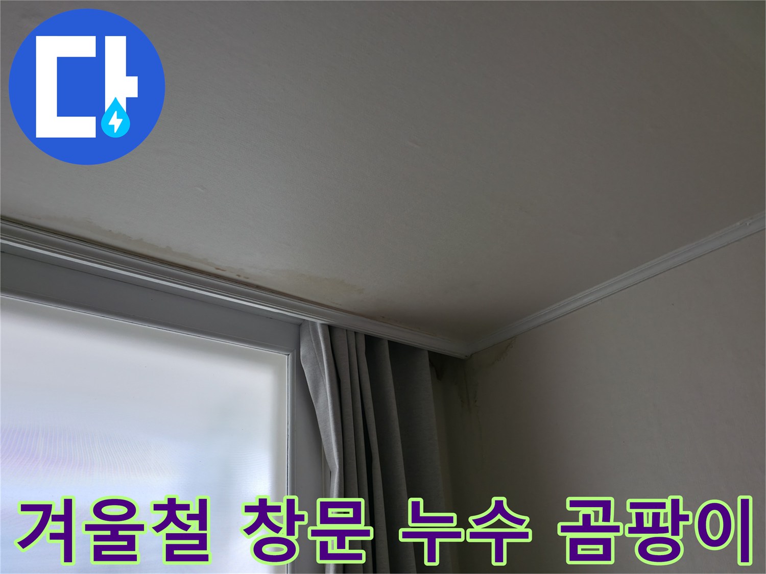겨울철 창문 누수 - 곰팡이 문제 해결 전문가