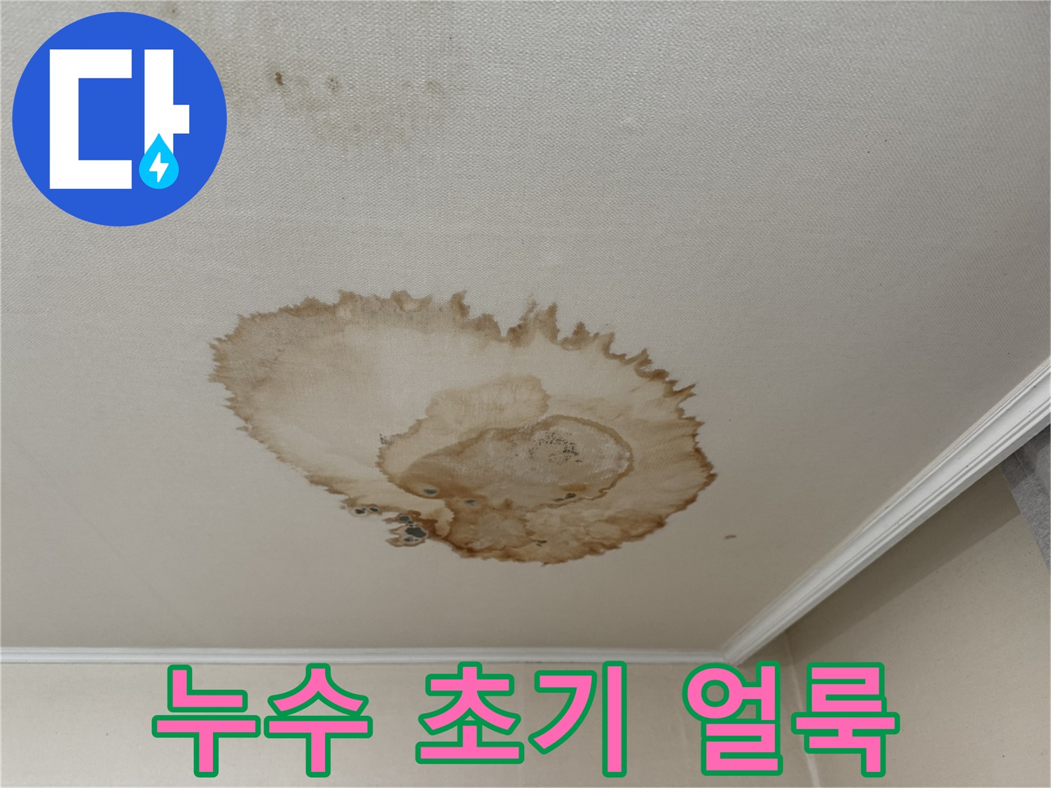 서대문구 세검정로 천장 누수 - 곰팡이 발생 전 누수 초기 얼룩