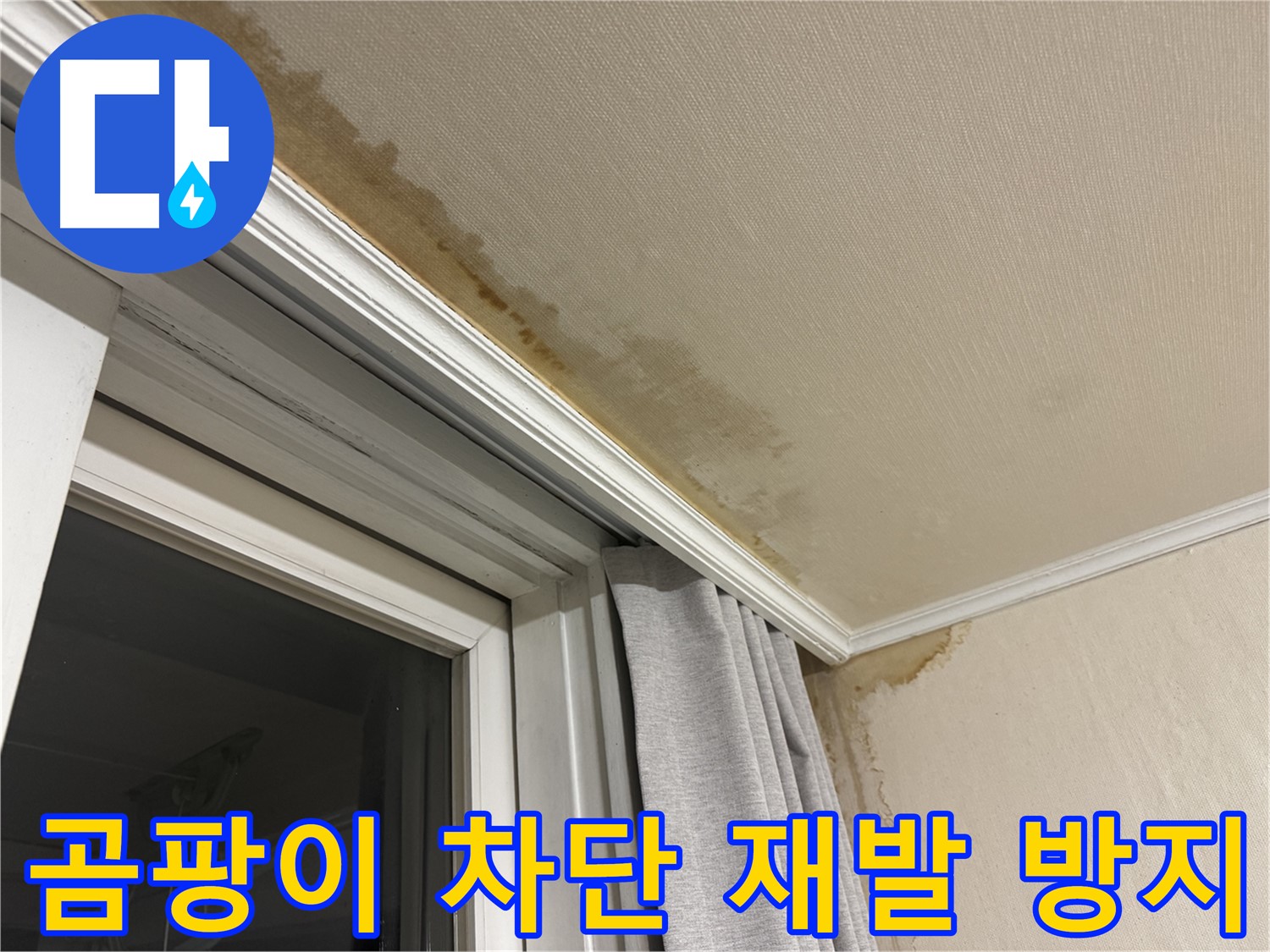 서대문구 홍제동 창가 누수 - 천장 곰팡이 완벽 차단, 재발 방지 시공 이미지입니다.