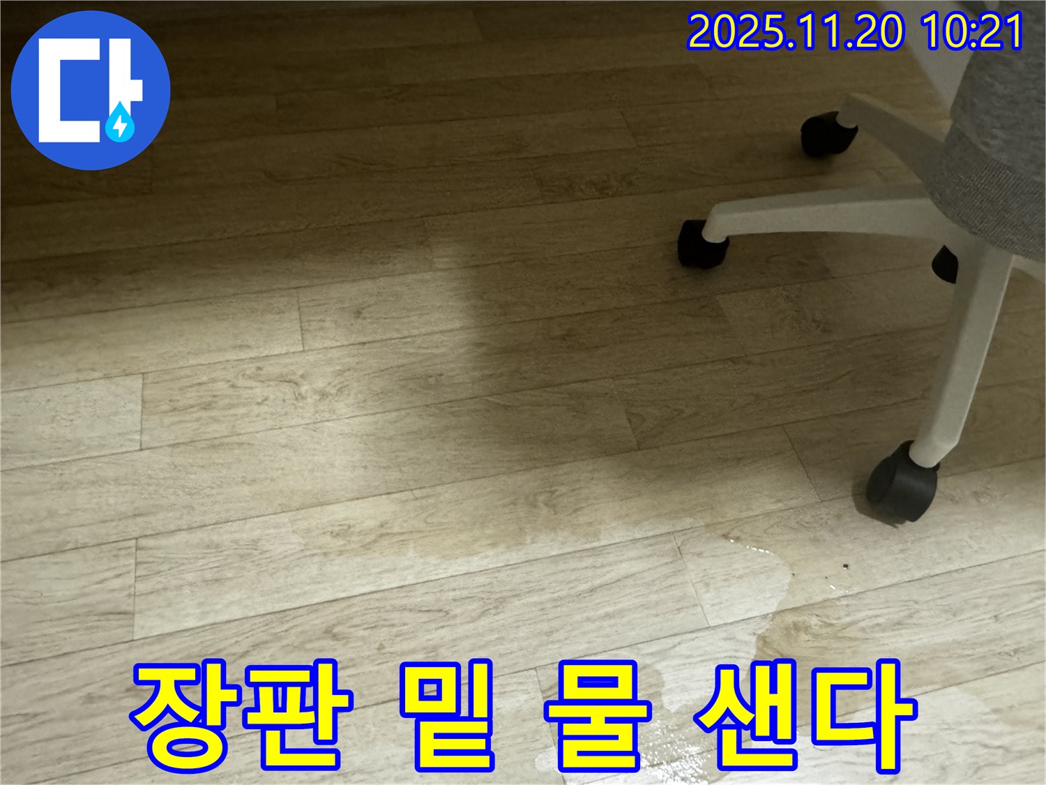세검정로 사무실 누수 - 장판 밑에 물이 샌다면 곰팡이 주의하세요!
