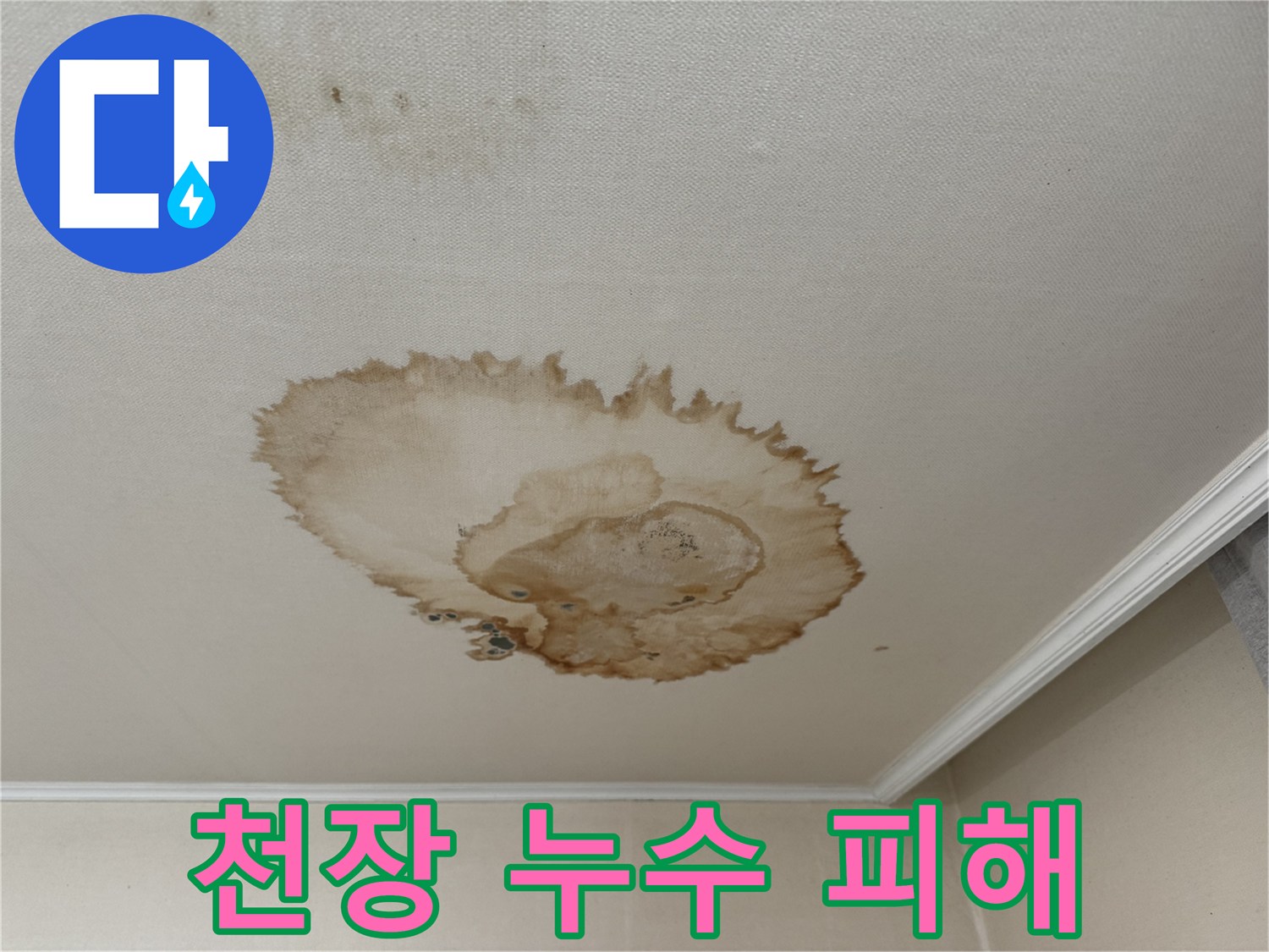 세검정에서 발생한 천장 누수 피해 - 젖어있는 천장과 손상된 벽지를 보여주는 사진