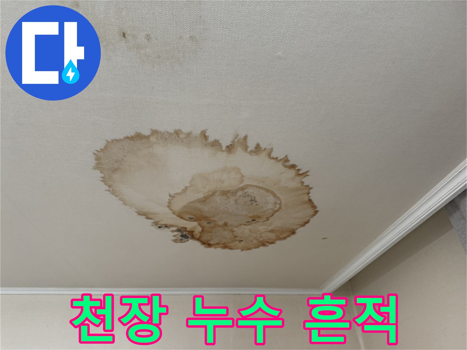 세검정에서 발생한 천장 누수 흔적 - 물이 스며든 자국과 변색된 천장을 보여주는 사진