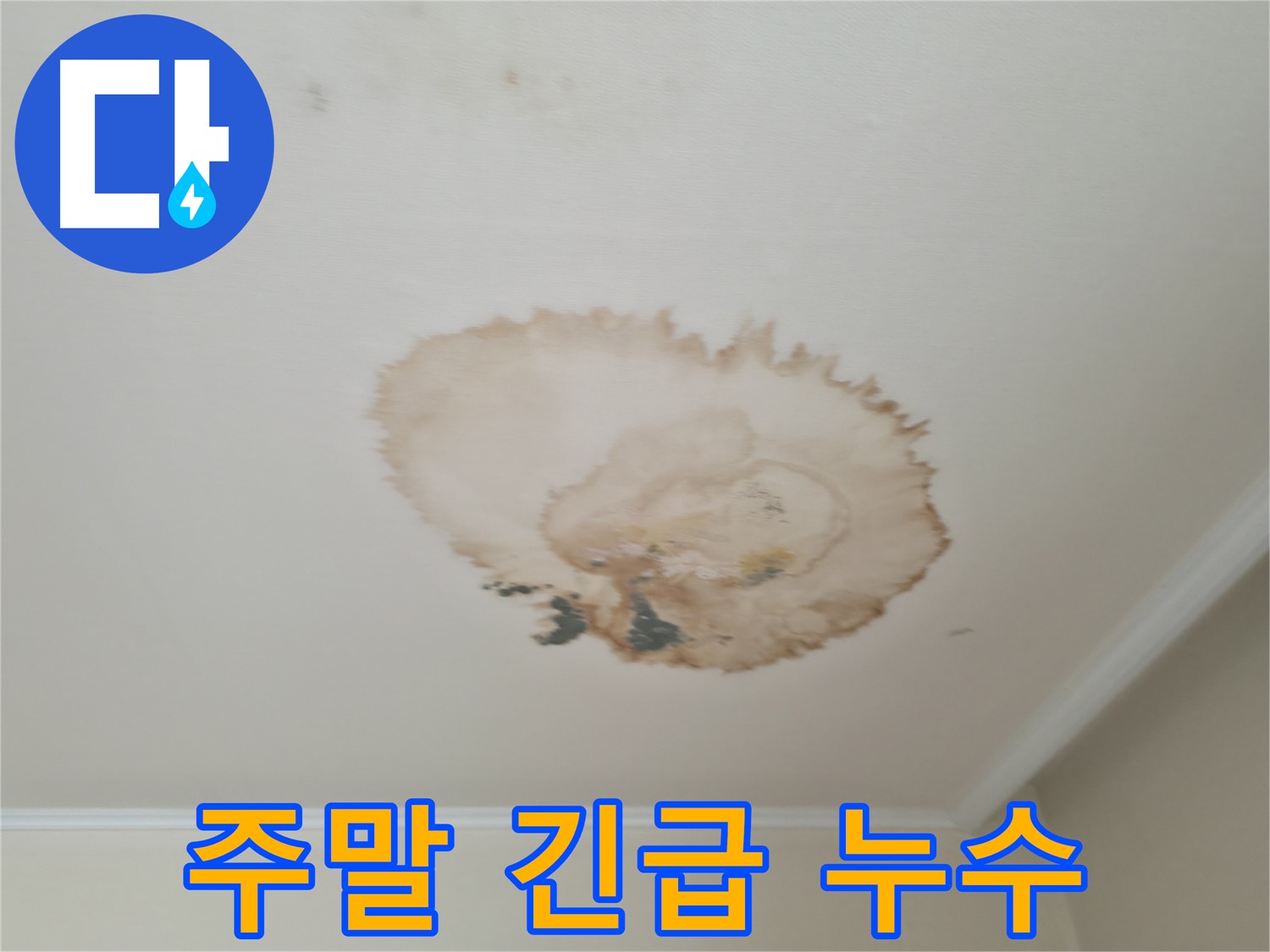 주말 긴급 - 천장 누수 해결 - 서대문구 누수