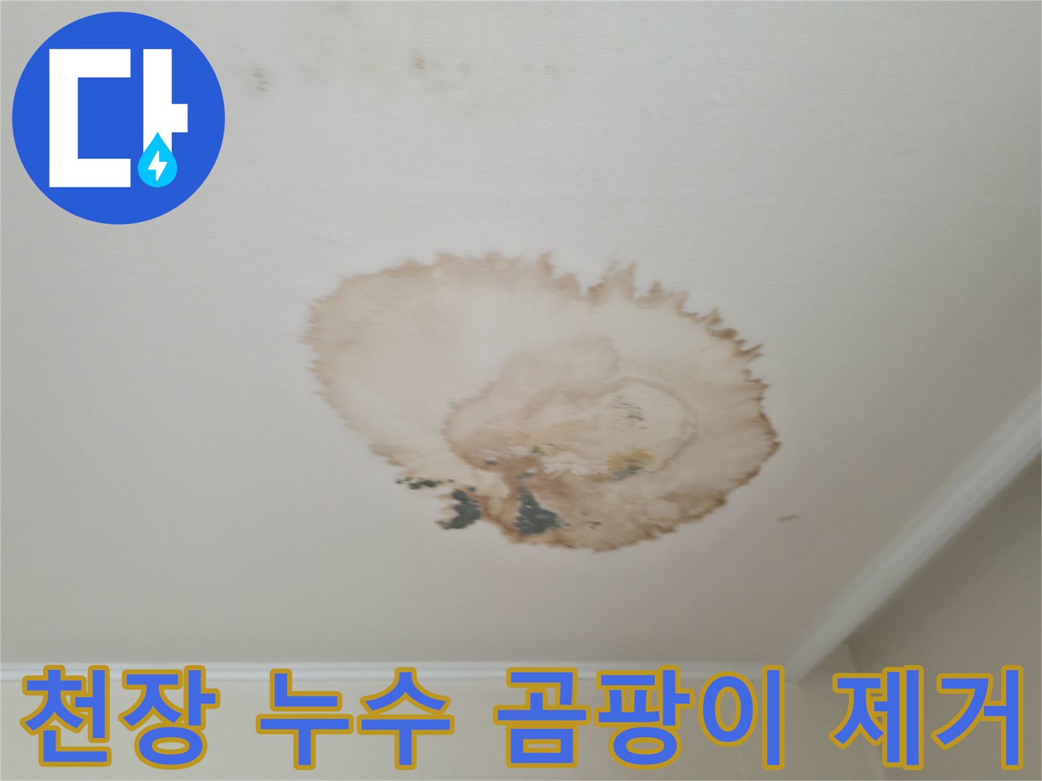 천장 누수 - 곰팡이 발생 - 완벽 제거 및 방지 시공