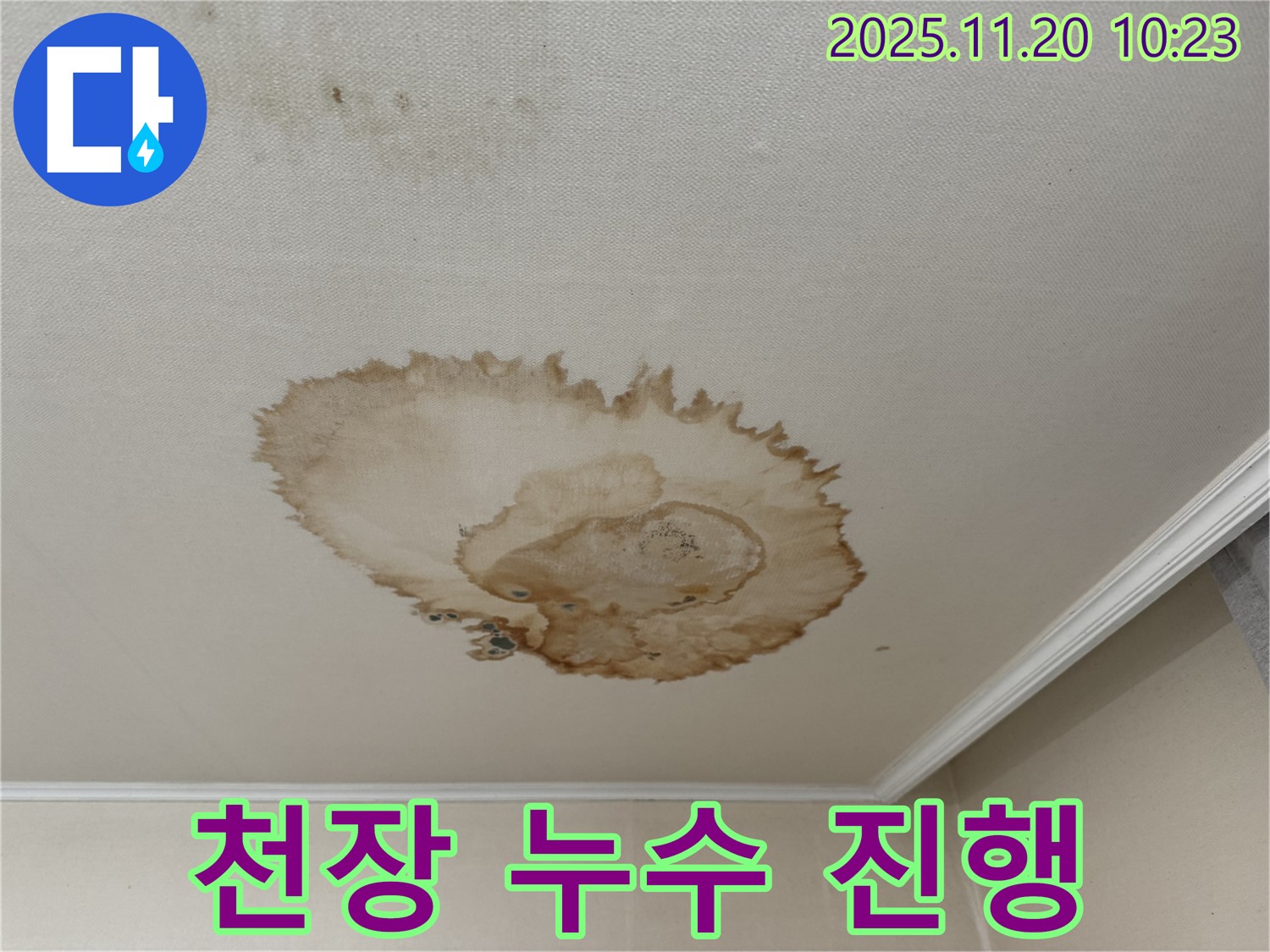 천장 누수 진행 - 지속적인 피해 - 곰팡이 발생 위험 - 건물 손상 우려