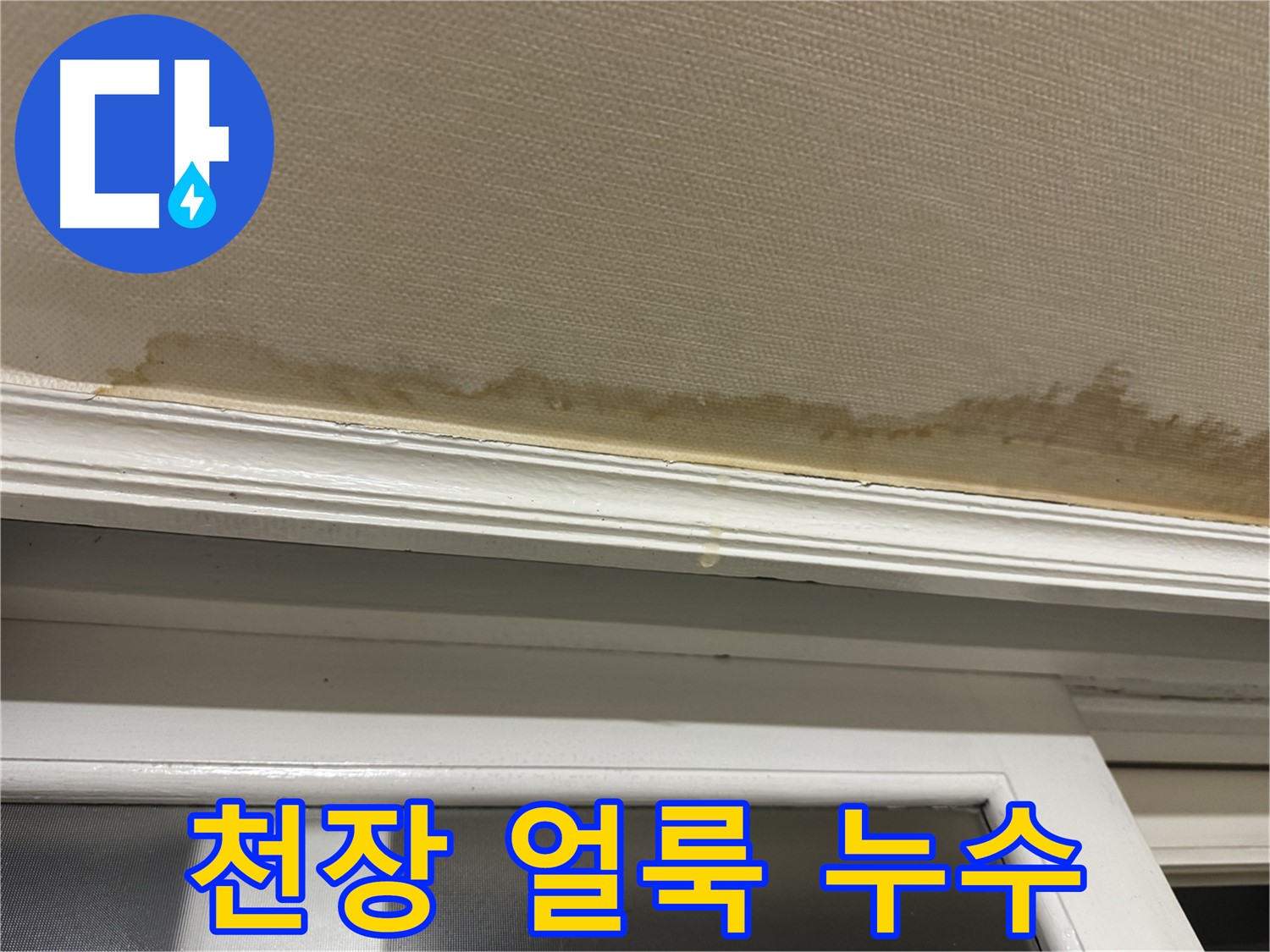 천장에 생긴 얼룩 - 누수의 초기 증상임을 알려줍니다.