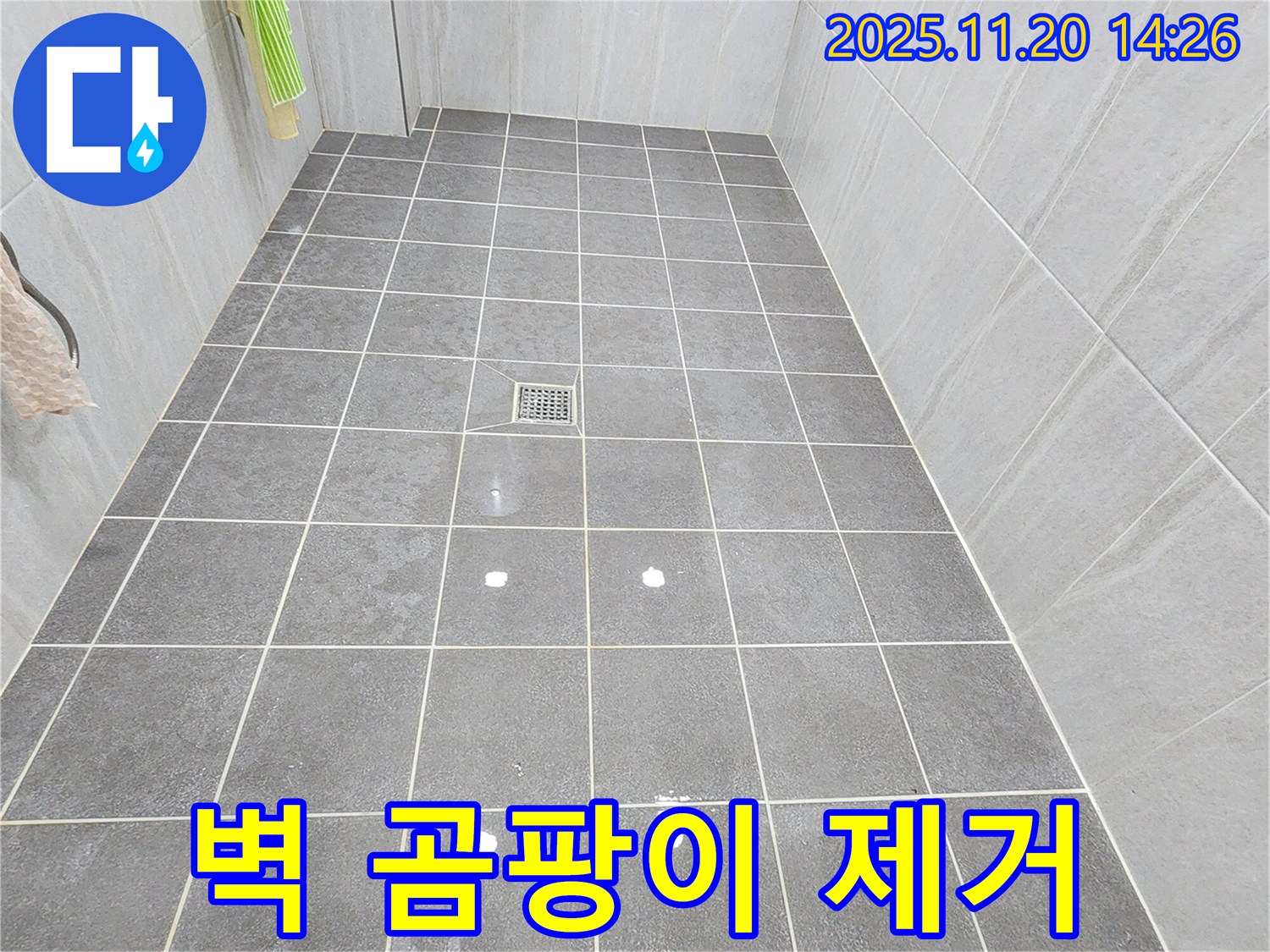 가산면 마산리 욕실 벽면 곰팡이 발생 - 원인 분석 및 곰팡이 제거 시공