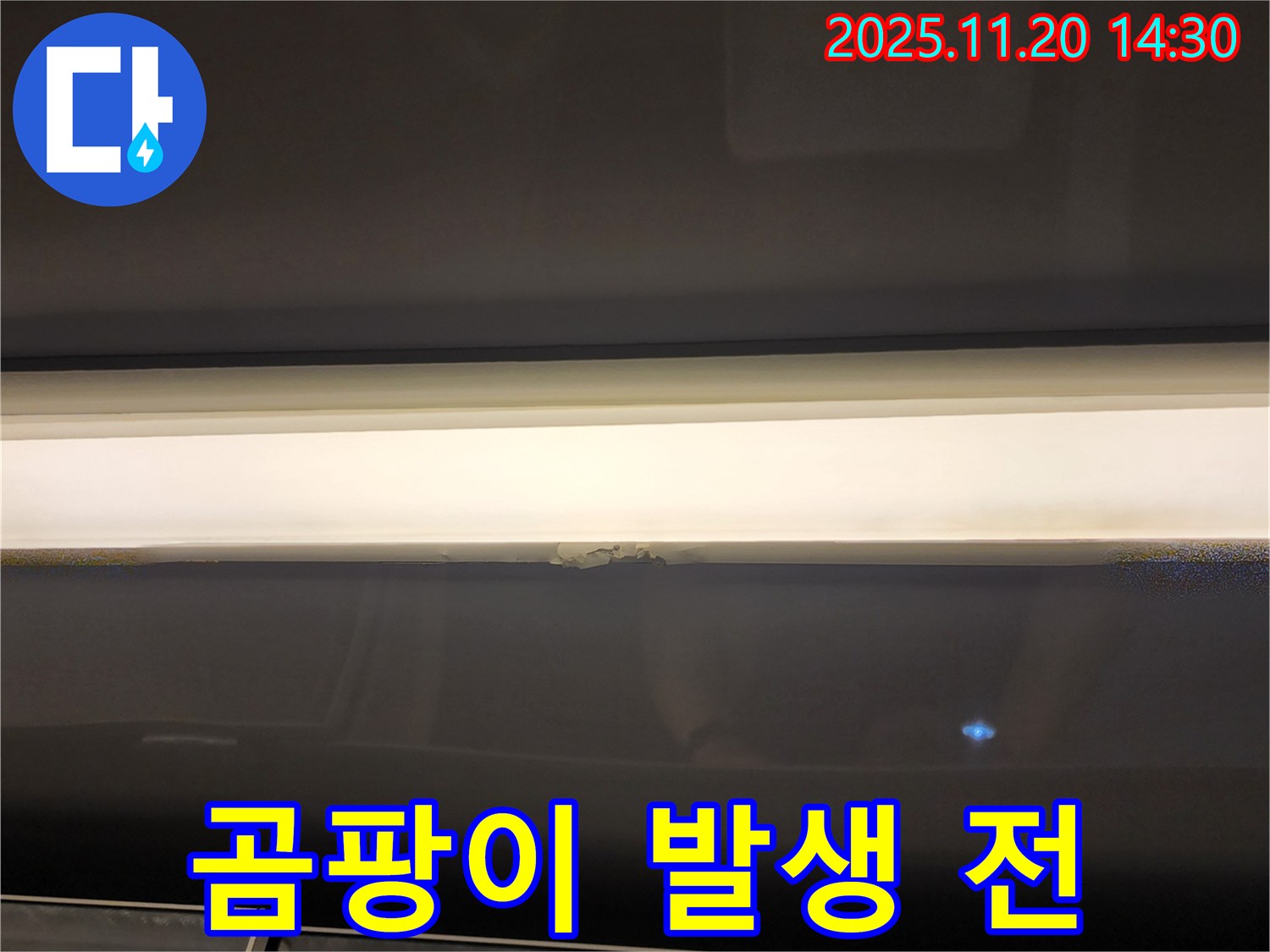곰팡이 발생 전 석고보드 누수 조치 - 건강을 지키는 첫걸음