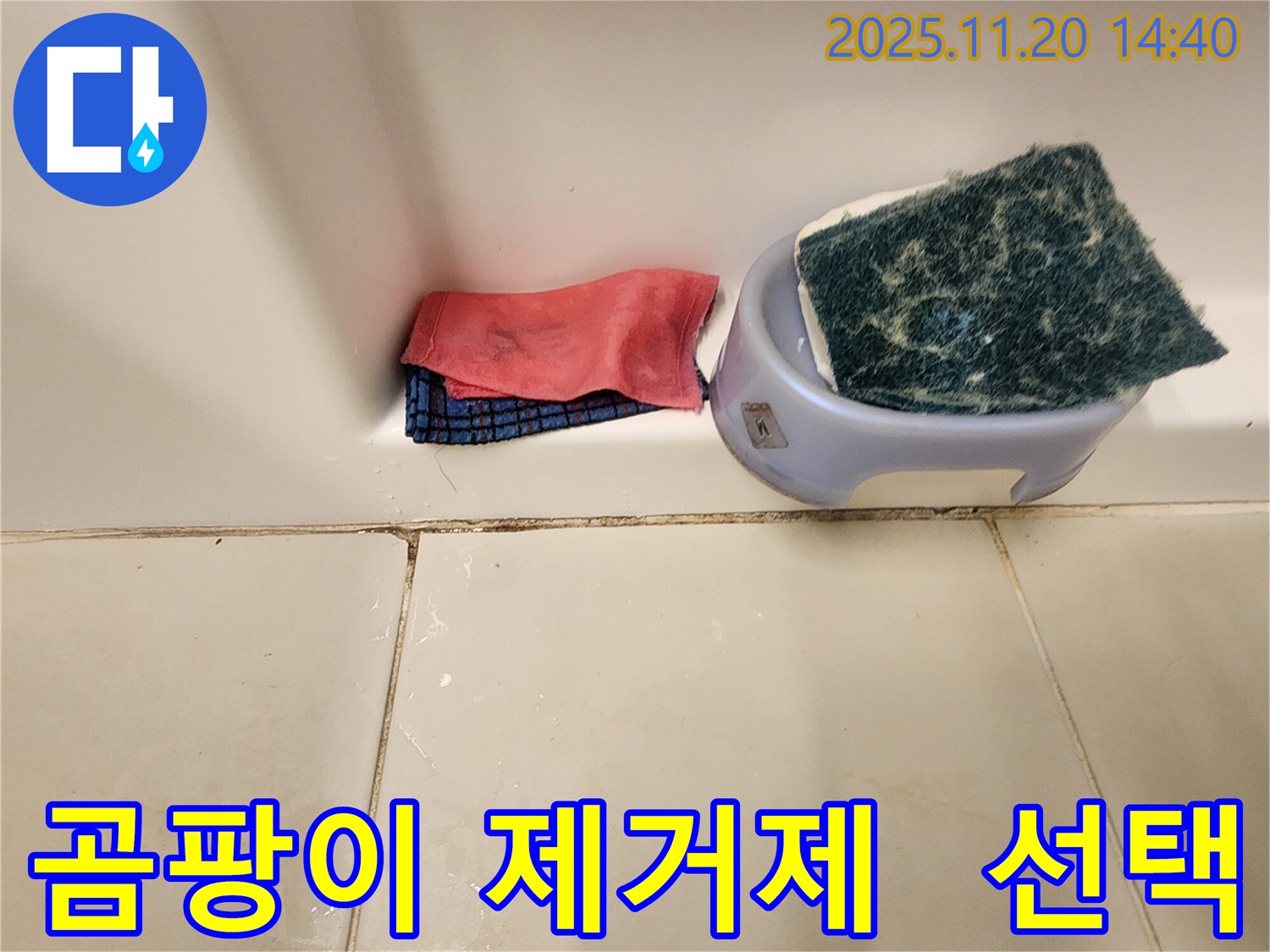 곰팡이 제거 - 어떤 곰팡이 제거제를 사용해야 할까요? 성분을 꼼꼼히 확인하세요.