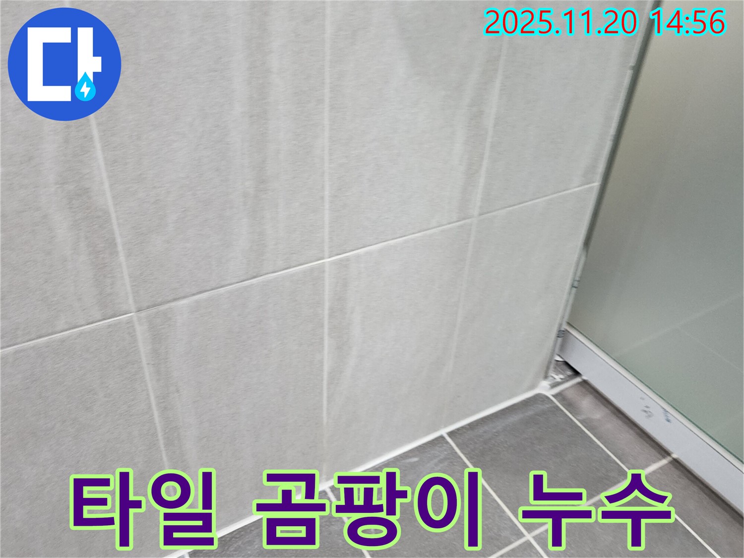 마산리 욕실 벽 타일 곰팡이 - 틈새 실리콘 보수 및 곰팡이 제거