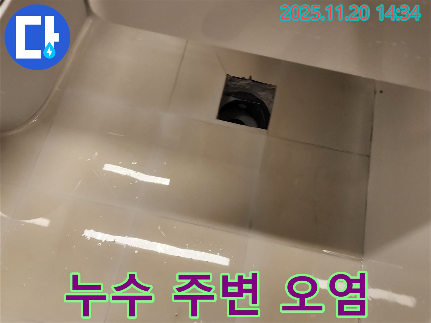 샤워 트레이 배수구 누수 - 누수 주변의 오염 상태를 확인하고 있습니다.
