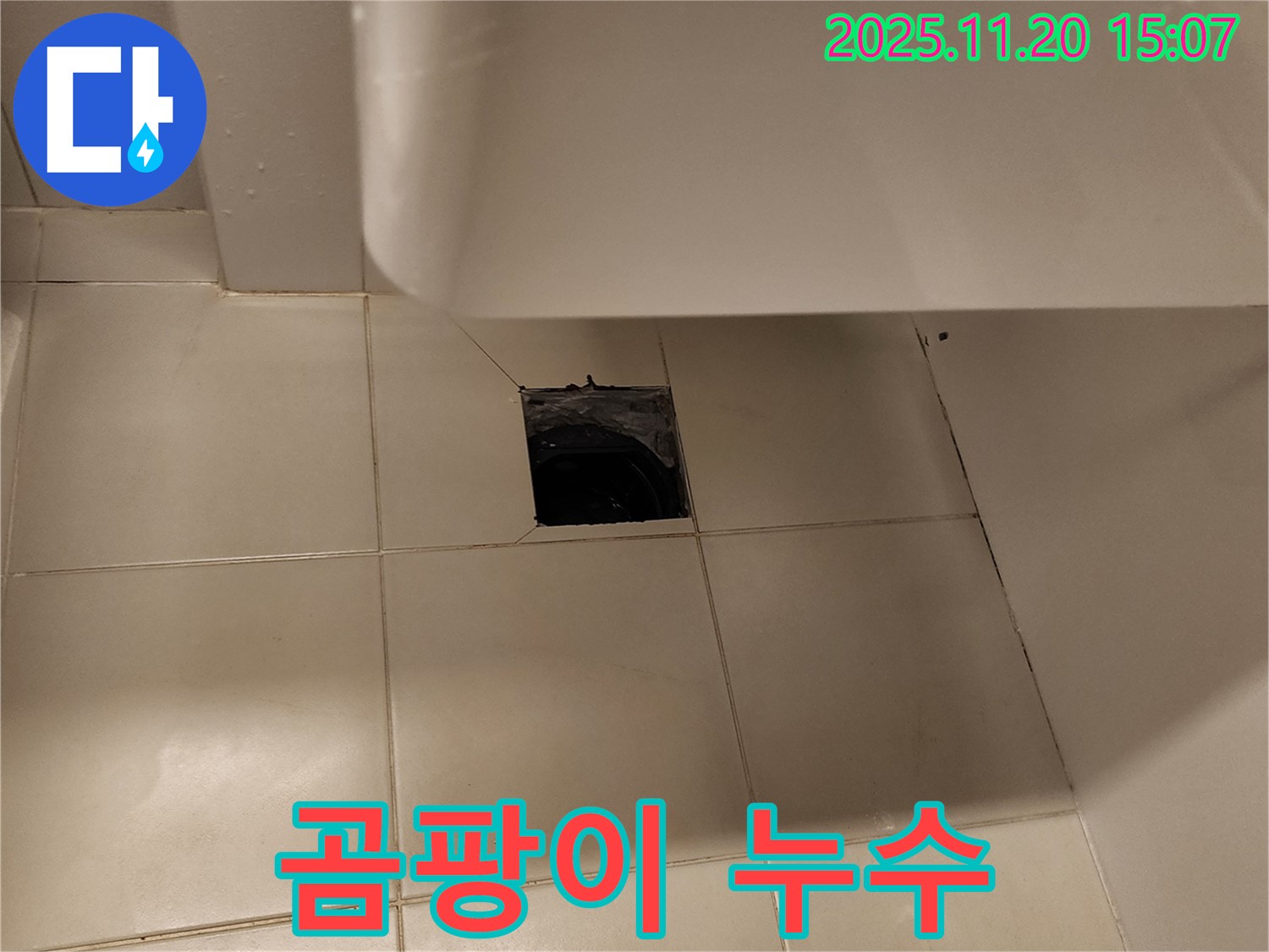 세면대 바닥 배수구 주변 곰팡이로 인한 누수 - 포천 가산면 누수 전문 업체에서 곰팡이 제거 및 방수 처리로 해결