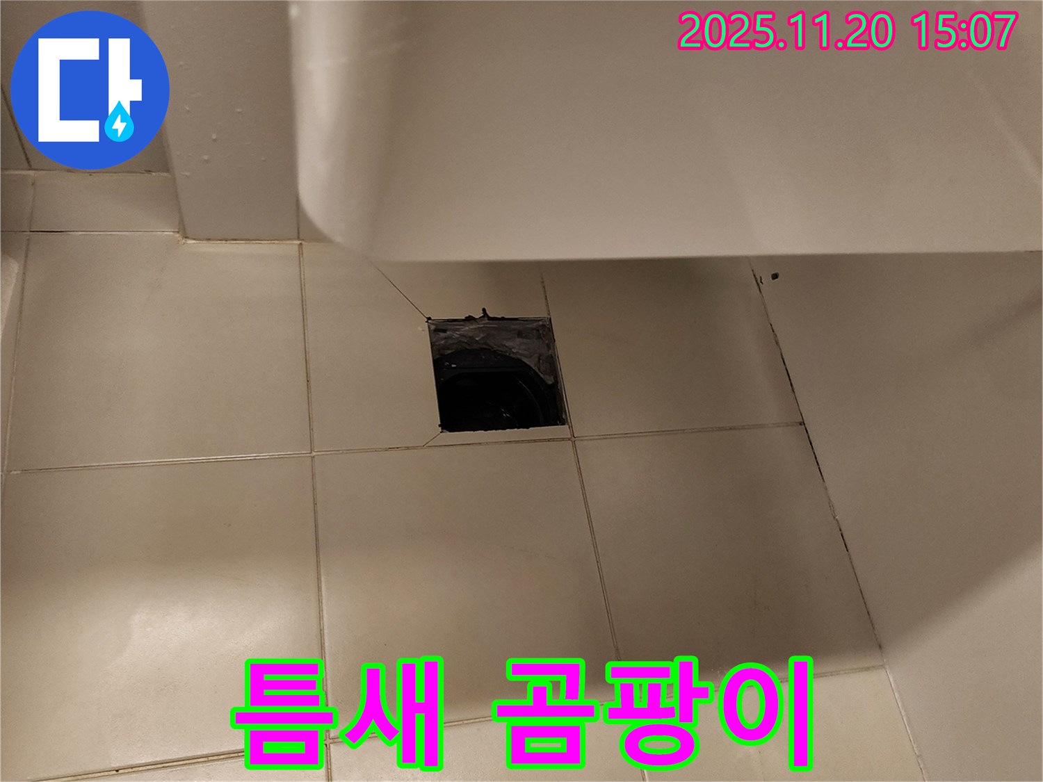 세면대 하부 바닥 배수구 주변 타일 틈새 곰팡이 번식으로 인한 누수 의심 - 포천 가산면 누수 전문 업체에서 곰팡이 제거 작업 진행