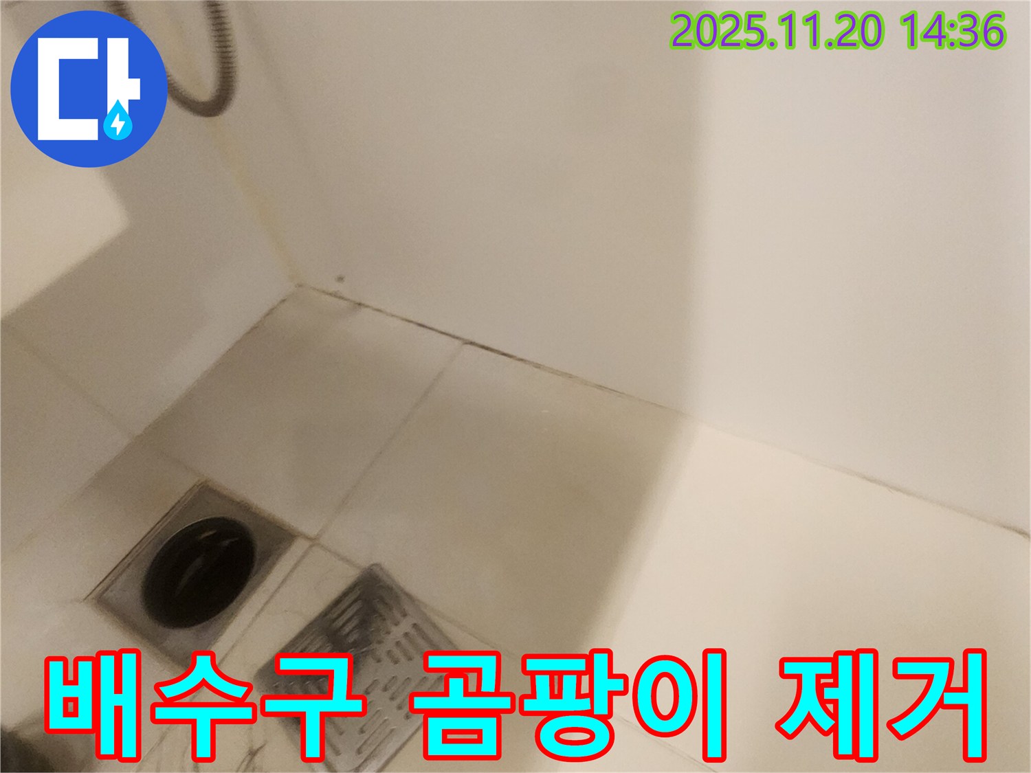 욕실 배수구 곰팡이 제거 - 포천 가산면 누수, 깨끗하게 청소!
