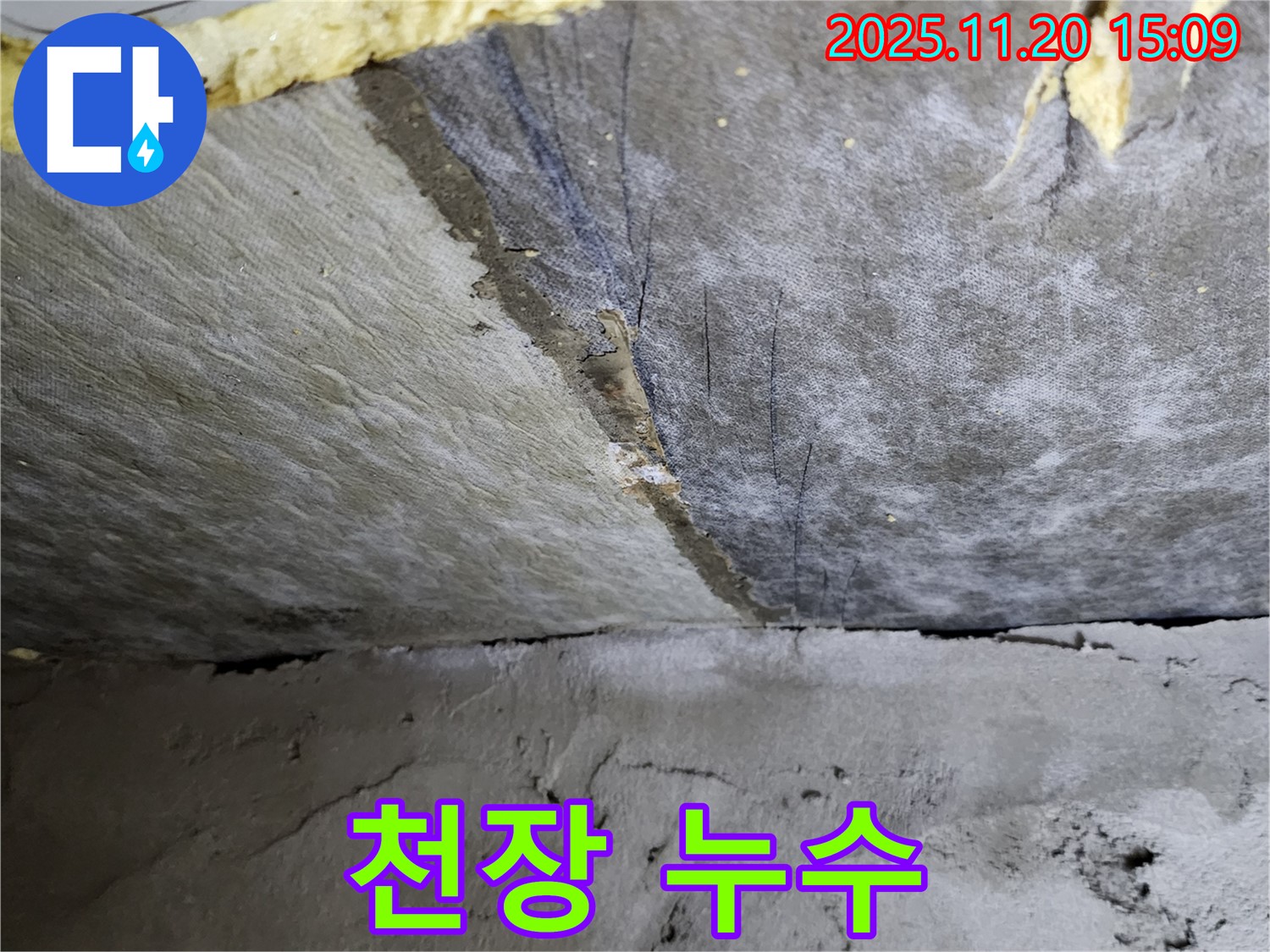 젖은 천장 - 젖어있는 천장 내부 - 곰팡이 발생 전 누수 해결
