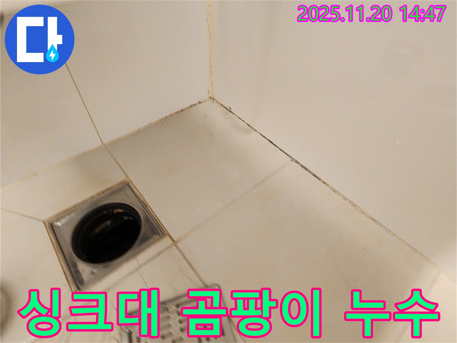 포천 가산 싱크대 하부장 - 싱크대 하부장에 곰팡이가 피어있고, 누수 흔적이 보이는 모습입니다 - 배수 호스 문제로 인한 누수가 의심됩니다.