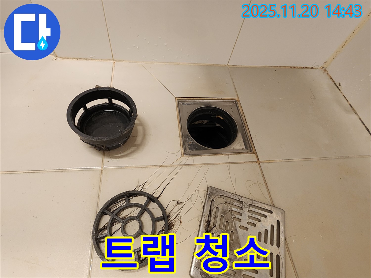 포천 가산 - 욕실 배수구, 배수 트랩 청소로 악취와 막힘 한 번에 해결