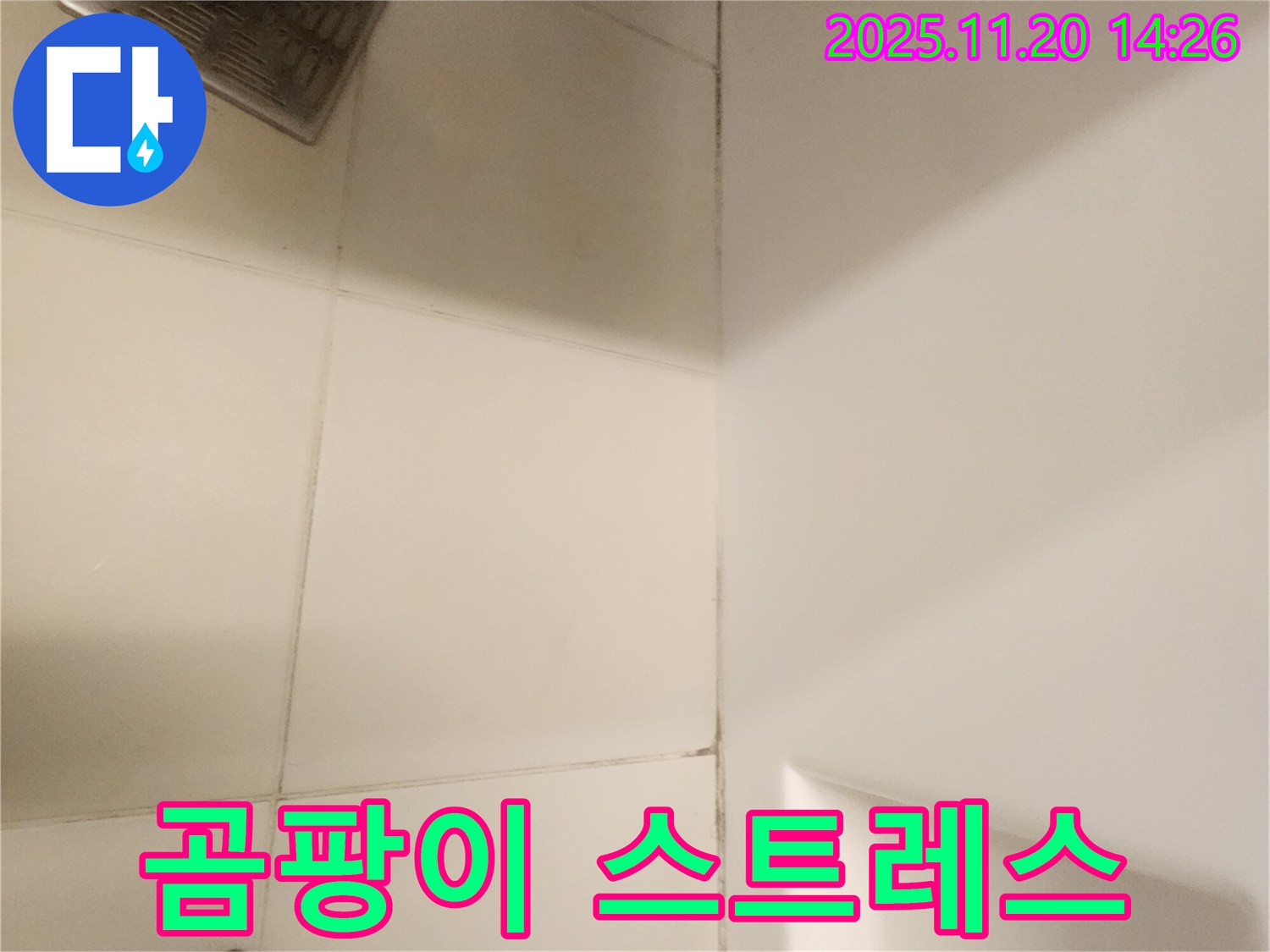 포천 가산면 - 곰팡이, 이제 스트레스 받지 마시고 저희에게 맡겨주세요!