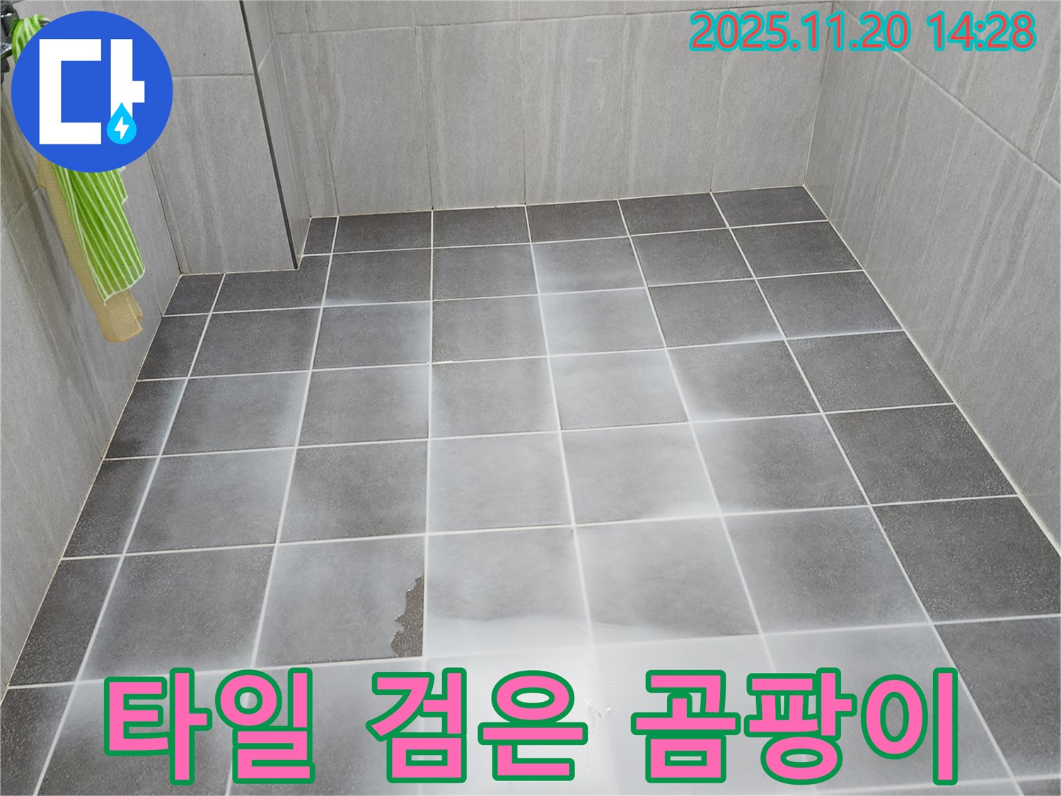 포천 가산면 마산리 욕실 타일 사이 검은 곰팡이 - 누수 가능성 꼼꼼하게 점검 및 해결