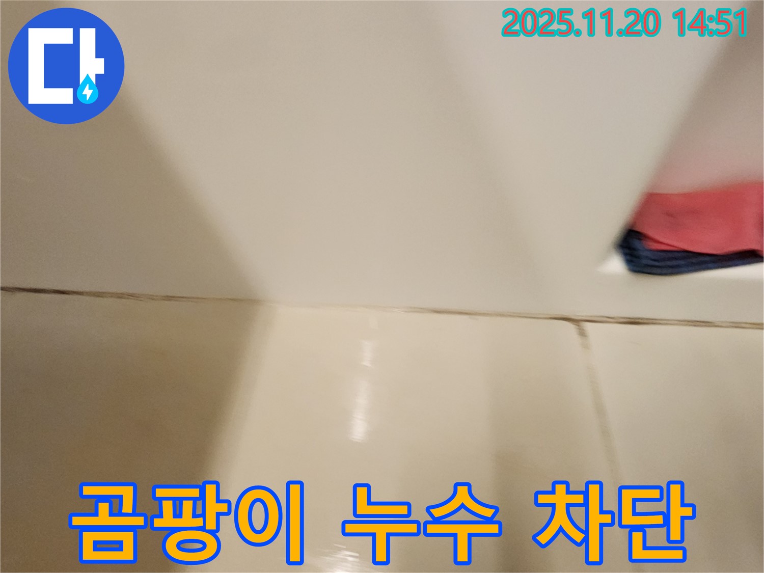 포천 가산면 마산리 - 욕실 타일 틈새 곰팡이 누수 - 곰팡이 제거와 완벽한 방수 시공으로 누수 원천 봉쇄!