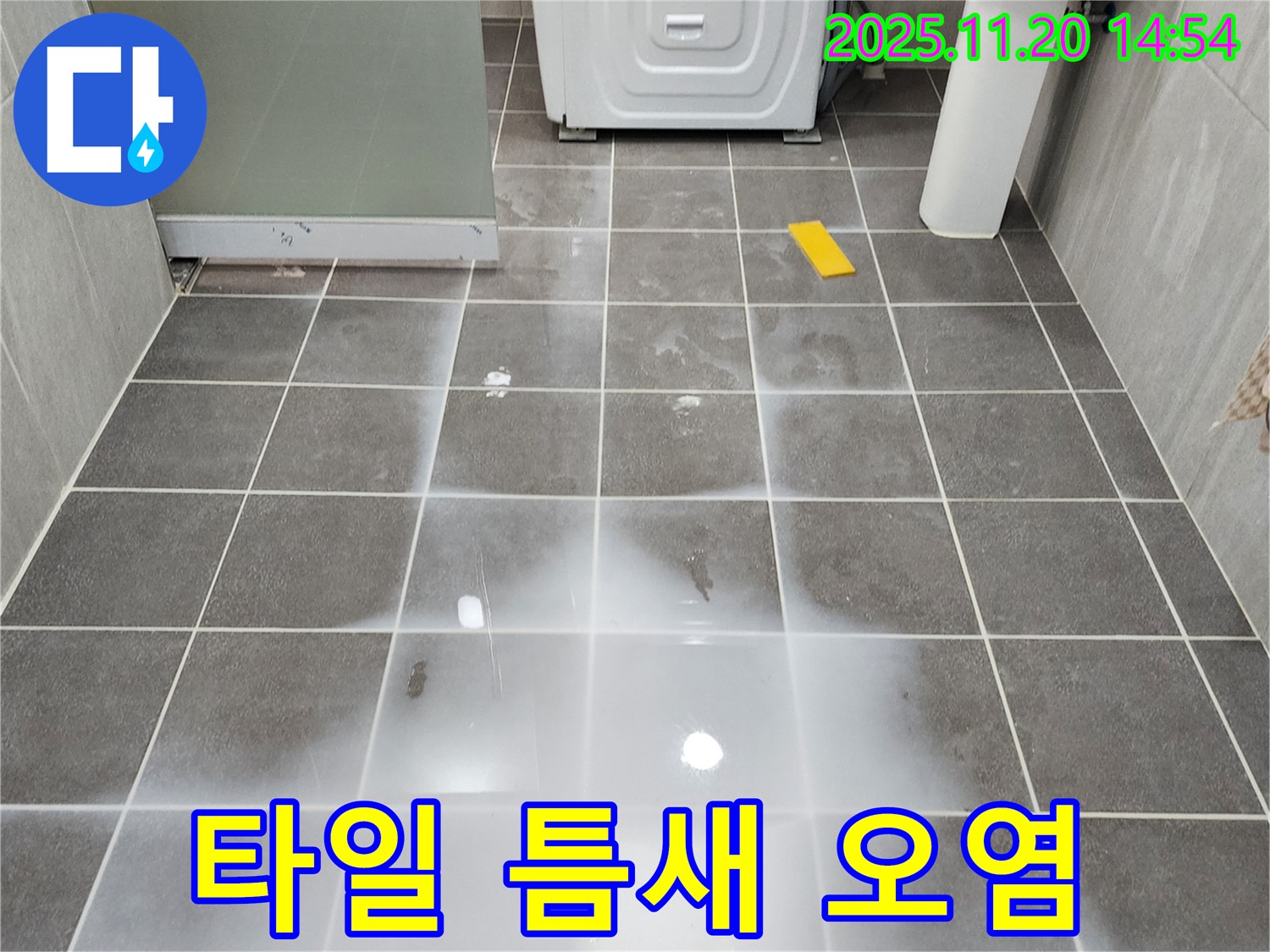 포천 가산면 마산리 욕실 - 타일 틈새 오염 심각 - 누수 초기 증상 의심