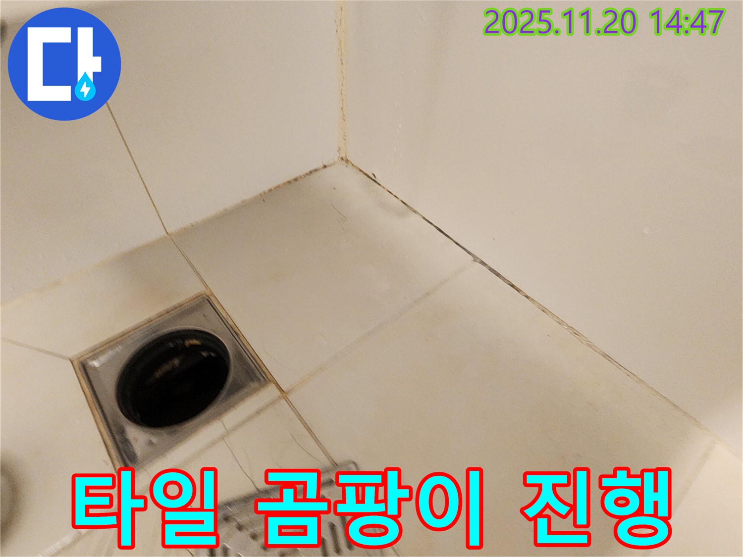 포천 샤워기 주변 타일 틈새 곰팡이 - 샤워기 주변 타일 틈새에 곰팡이가 심하게 피어 누수가 진행 중인 모습입니다.