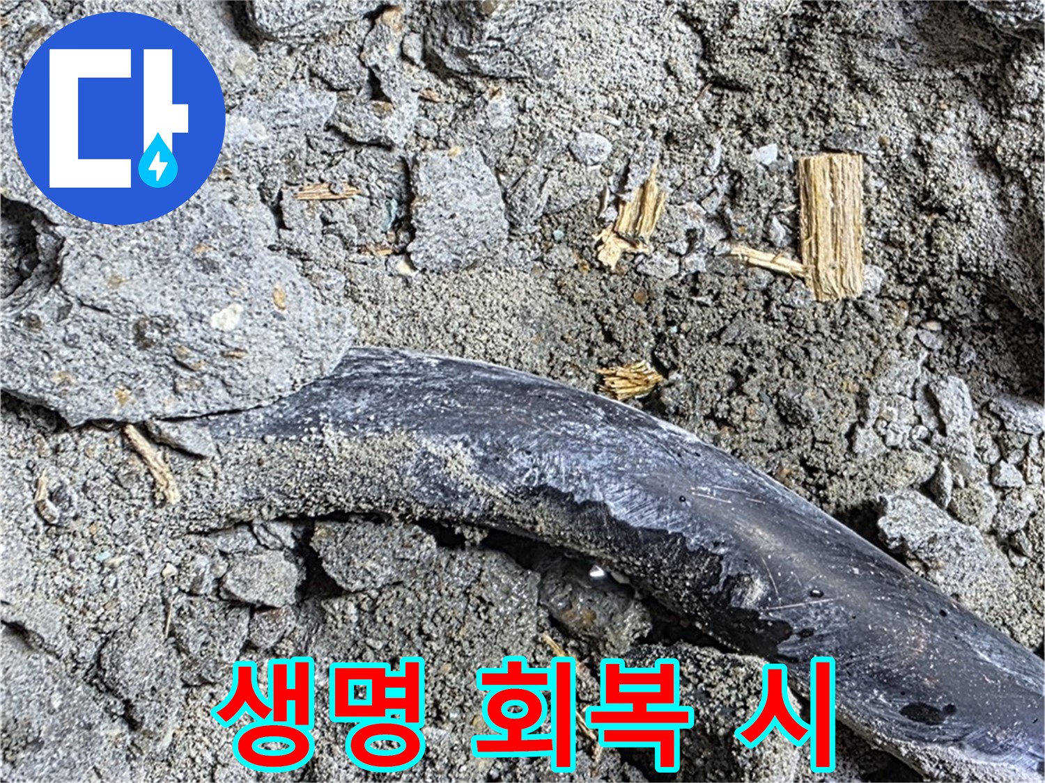 마포구 누수 현장 - 콘크리트 속 낡은 배관의 멈춰버린 생명력을 되살리기 위해 누수 회복 프로젝트를 시작합니다.