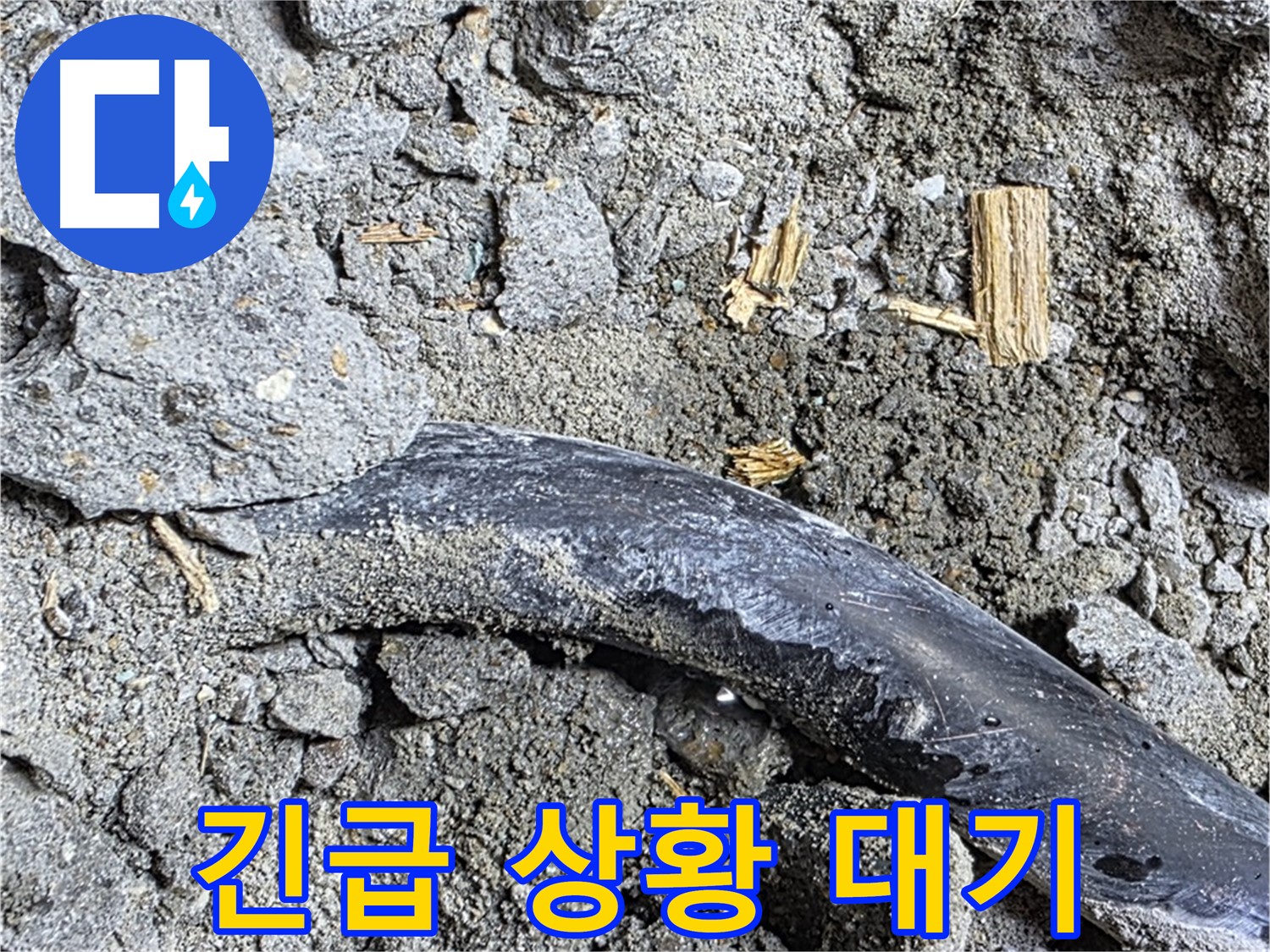 용강동 현대홈타운 - 헝겊 조각 - 습기 머금고 곰팡이 서식