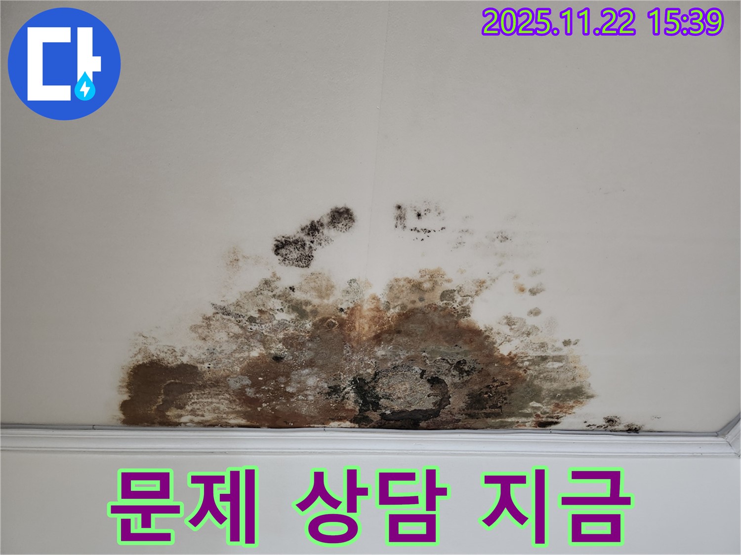 마포구 새창로 아파트 - 곰팡이 천장, 곰팡이 문제, 지금 바로 상담받으세요