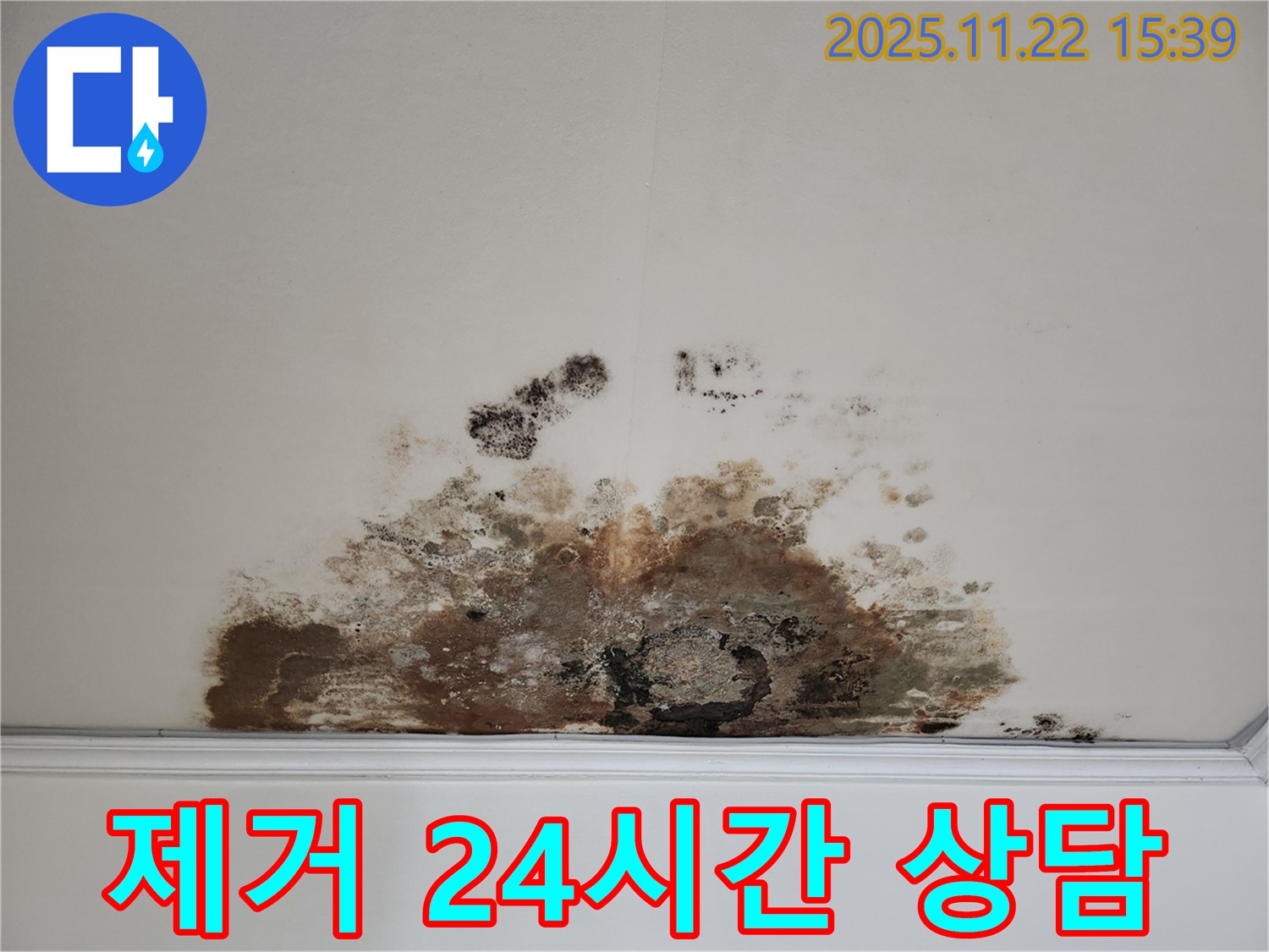 마포구 새창로 아파트 - 곰팡이 천장, 곰팡이 제거, 24시간 상담 가능