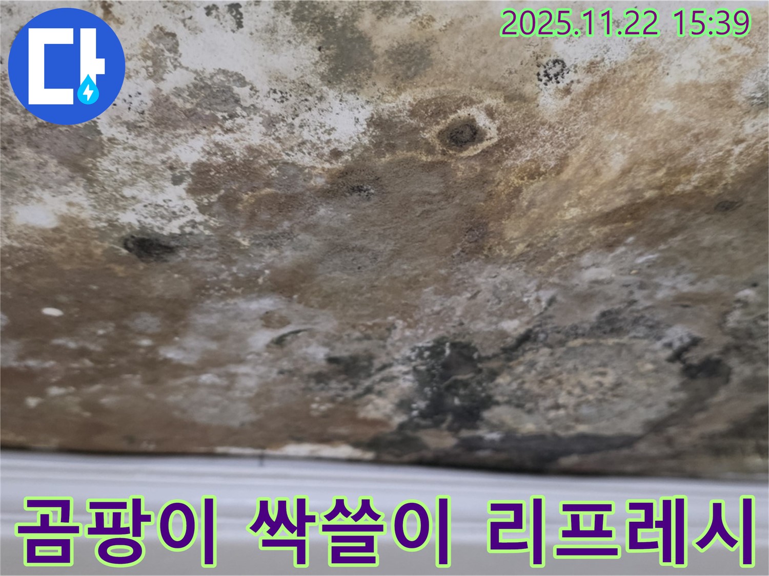 마포구 새창로8길 - 곰팡이 싹쓸이, 쾌적한 공간으로 리프레시!