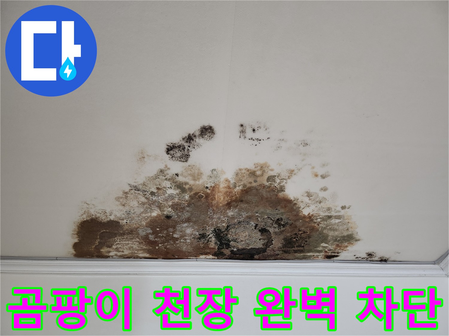 마포구 용강동 곰팡이 천장 누수 완벽 차단 - 숙련된 기술로 완벽 해결