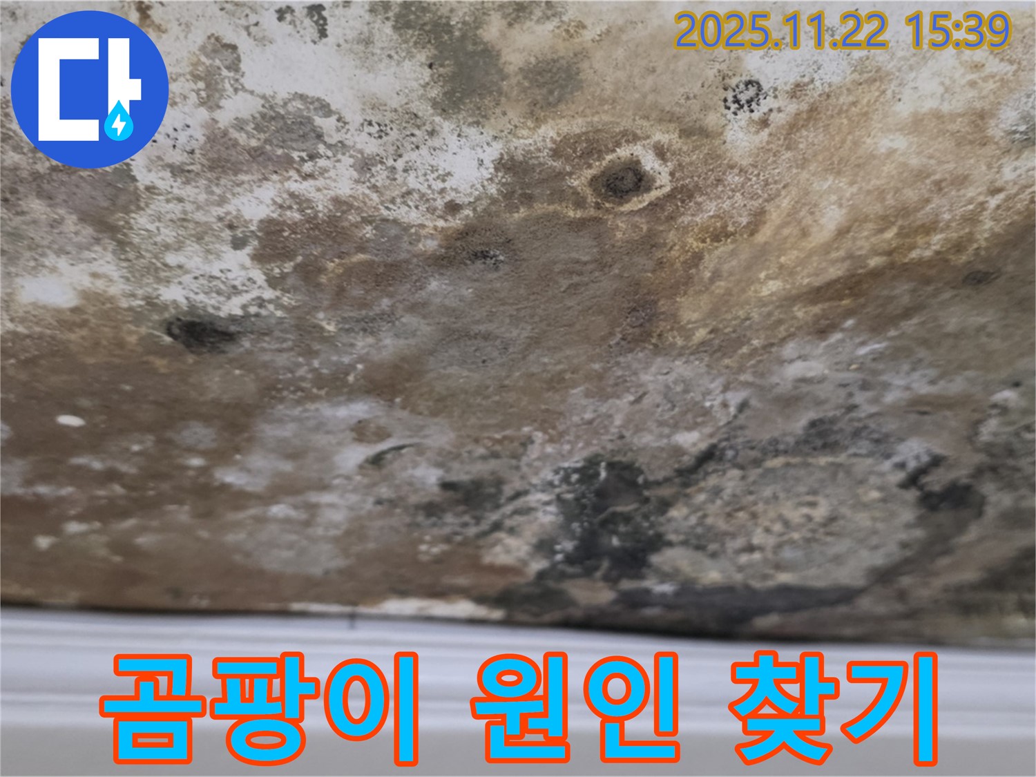 마포구 용강동 누수 - 곰팡이 뒤덮인 천장, 누수 원인 찾기 대작전!
