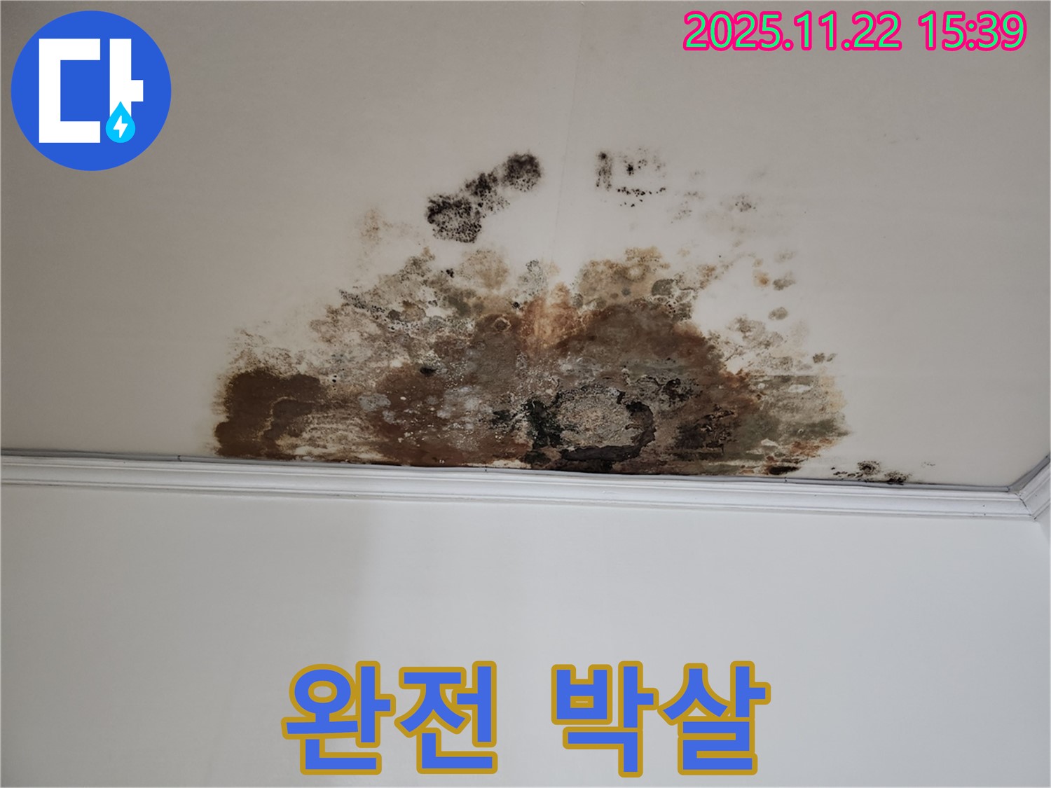 마포구 용강동 새창로8길 누수 - 곰팡이 완전 박살, 현대홈타운