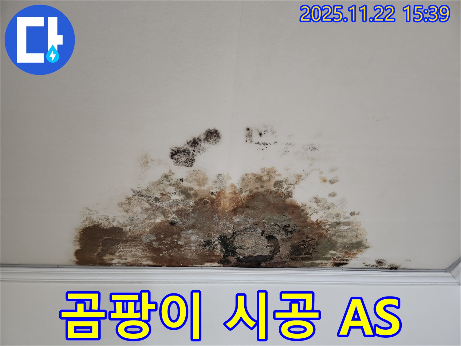 마포구 용강동 아파트 - 곰팡이 천장, 완벽한 시공과 확실한 A/S 보장