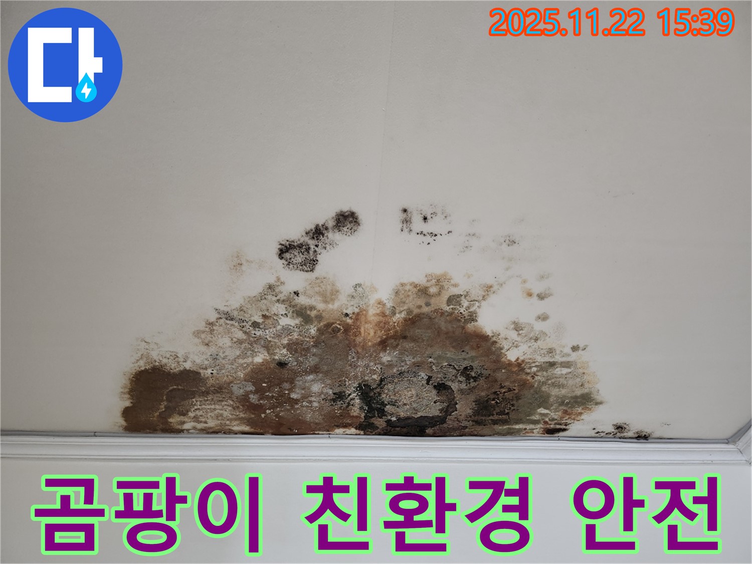 마포구 용강동 아파트 - 곰팡이 천장, 친환경 약품 사용으로 안전하게 시공